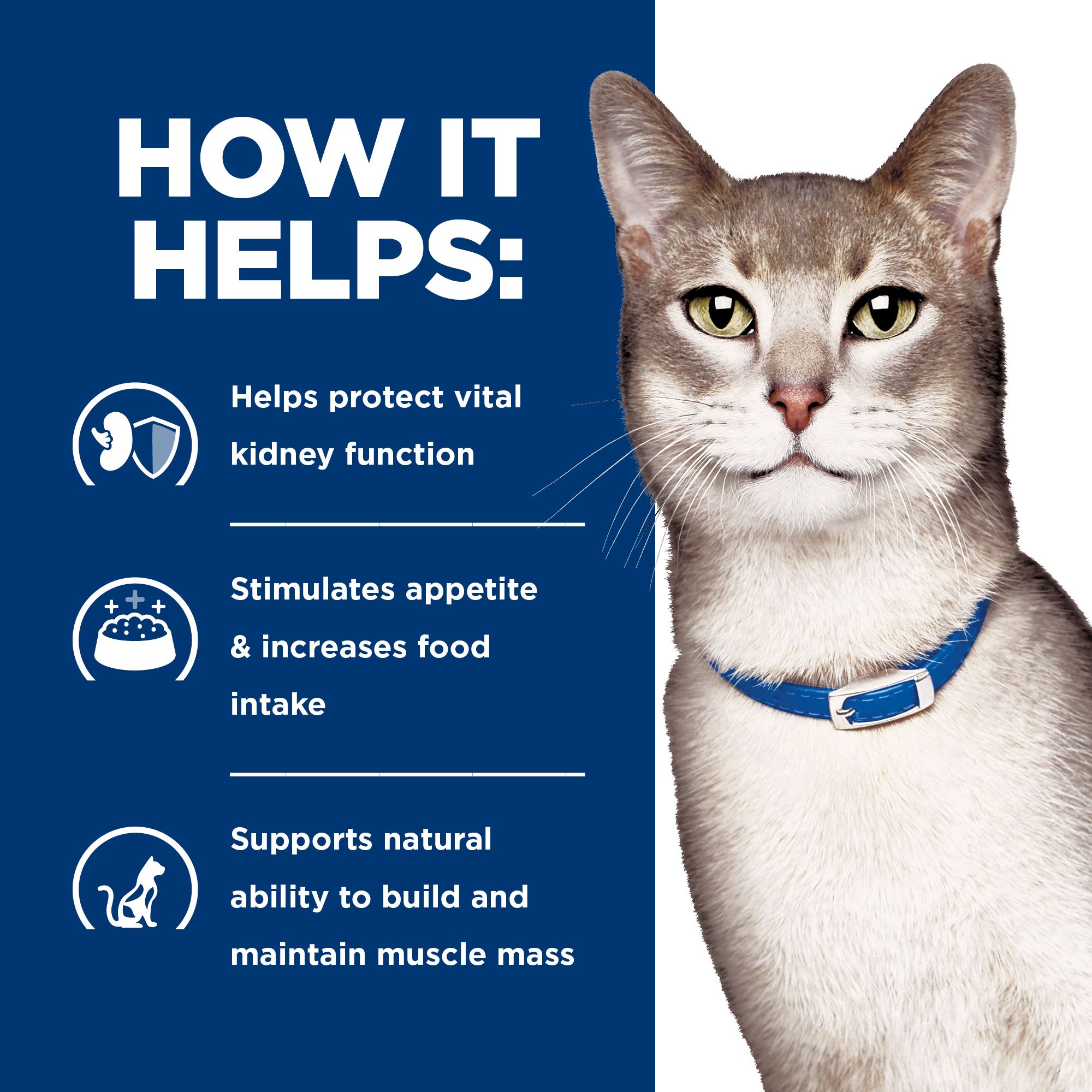 Hill's Prescription Diet K/D Kidney Care Pour Chat