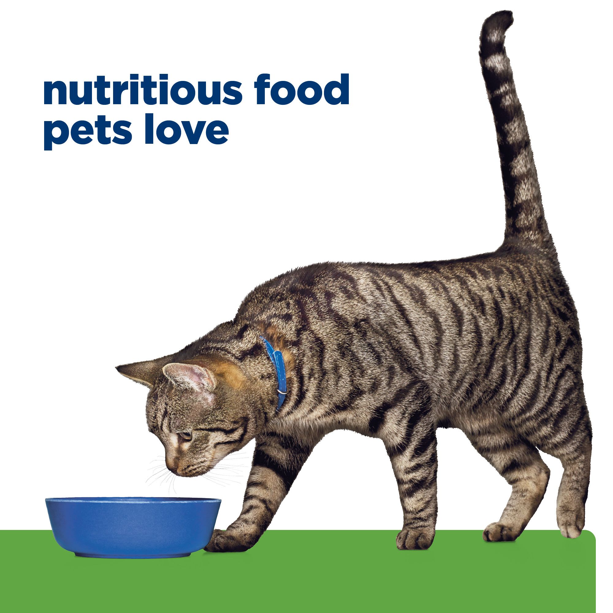 Hill's science diet metabolic cat outlet food