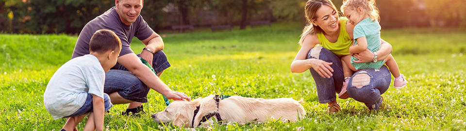 Teaching Your Children How to Interact with Dogs