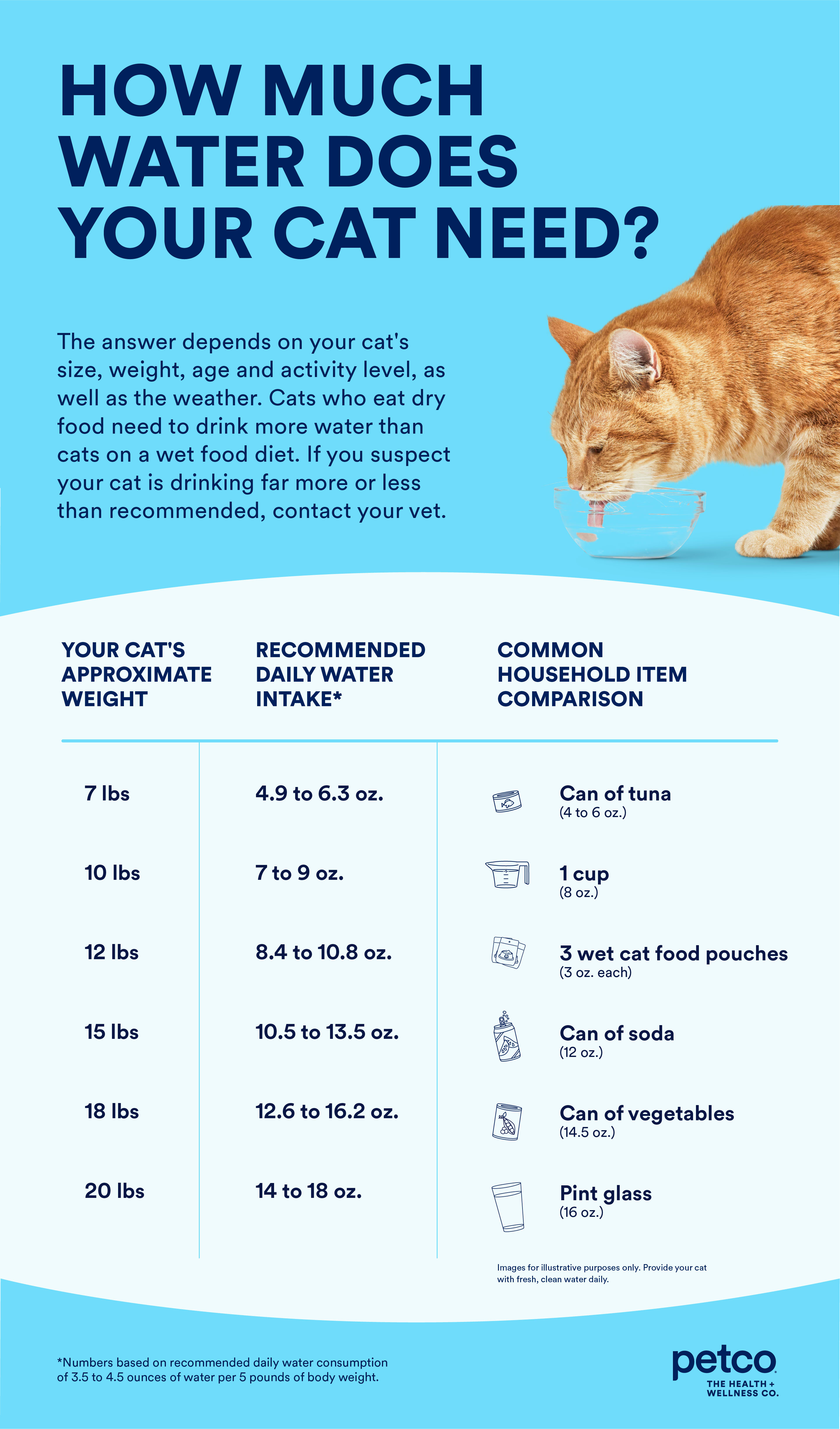 Cat water guide