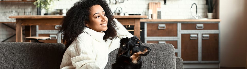 Petco 2025 dog sitting