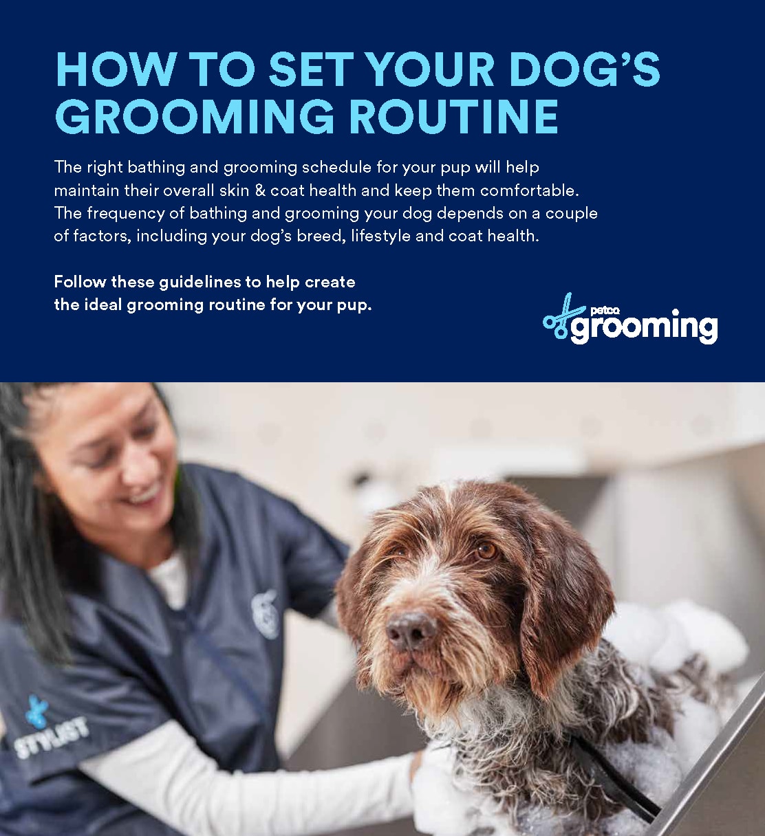 Petco Dog Grooming: Dog Baths, Haircuts, Nail Trimming