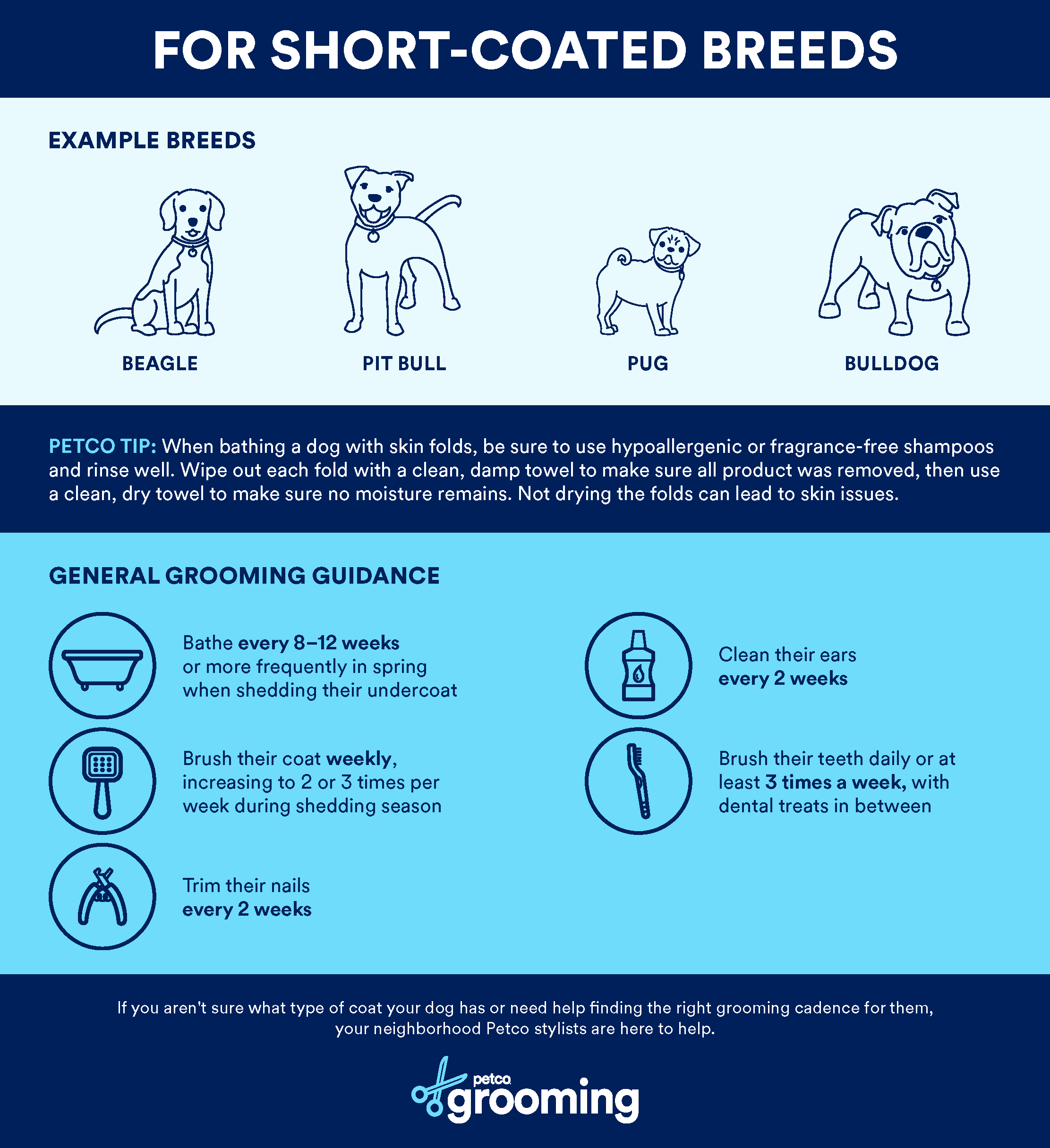 https://assets.petco.com/petco/image/upload/f_auto,q_auto/22-847220%20-%20SITE%20ASST_Dog%20grooming%20routine%20infographic%20update_RLS_Page_2