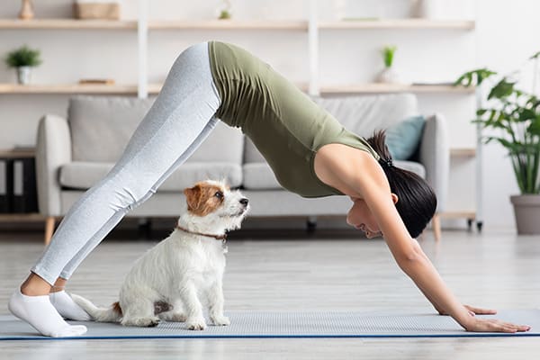 Dog yoga