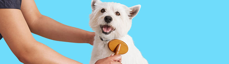 Petco Dog Grooming: Dog Baths, Haircuts, Nail Trimming