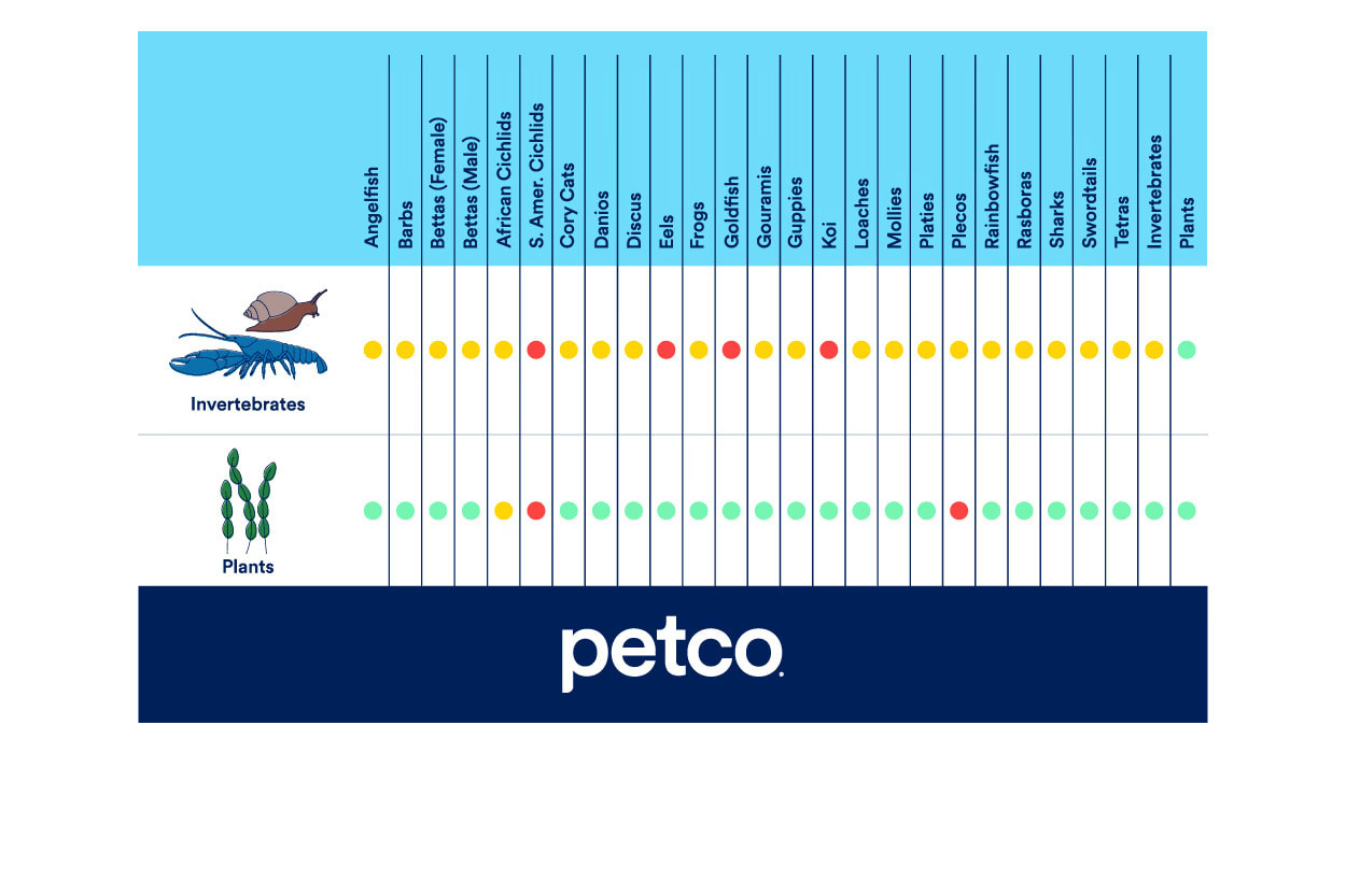 Invertebrate & Plants Compatibility Chart