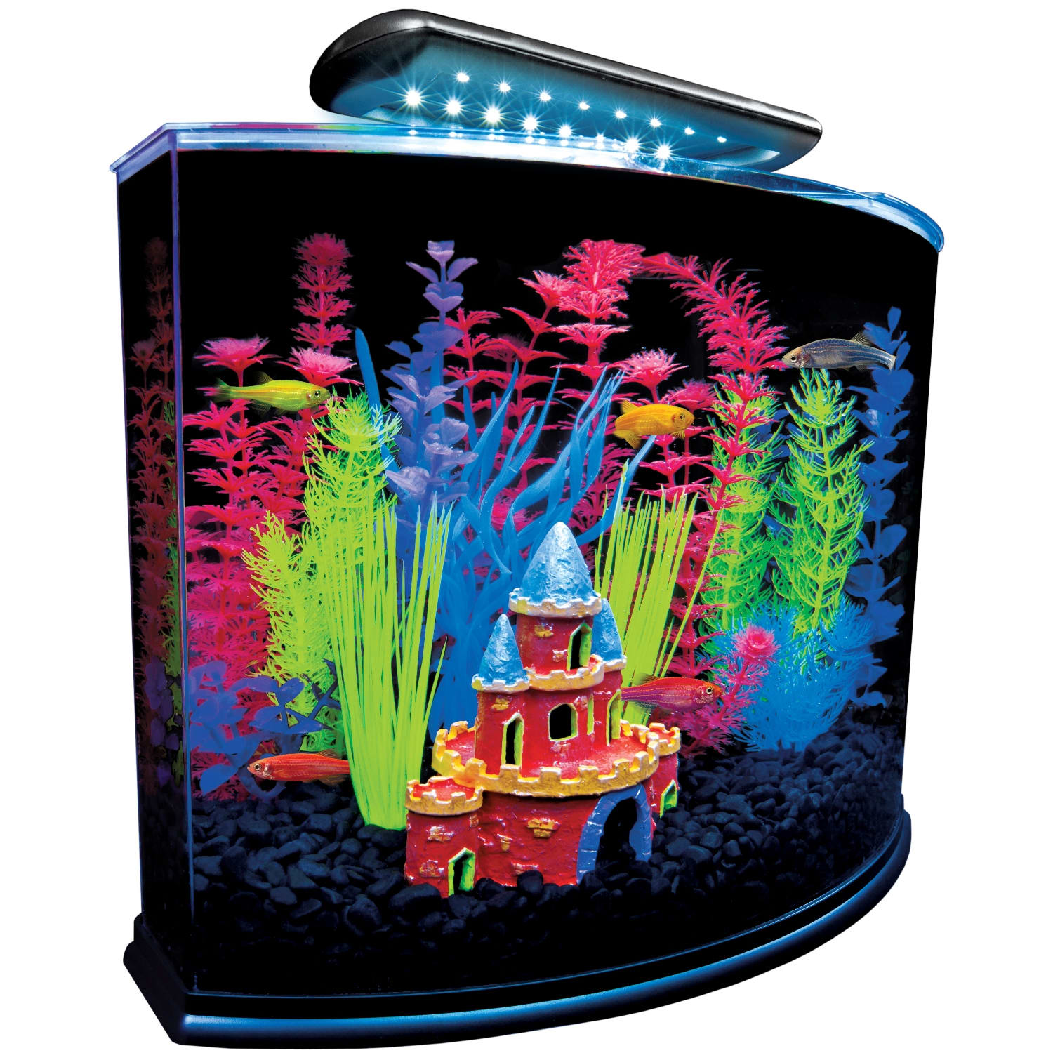 glofish aquarium