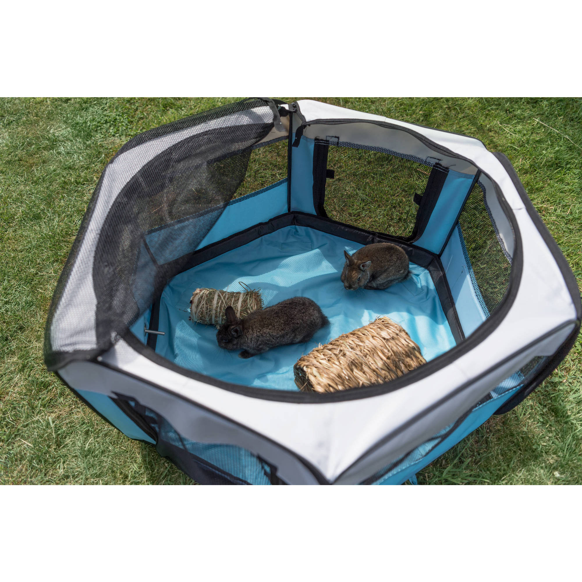 Cat playpen petco sale