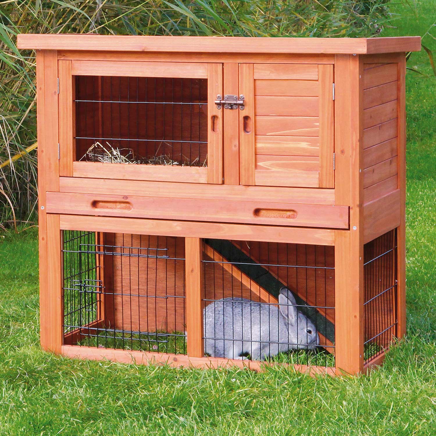 Petco rabbit hot sale hutch