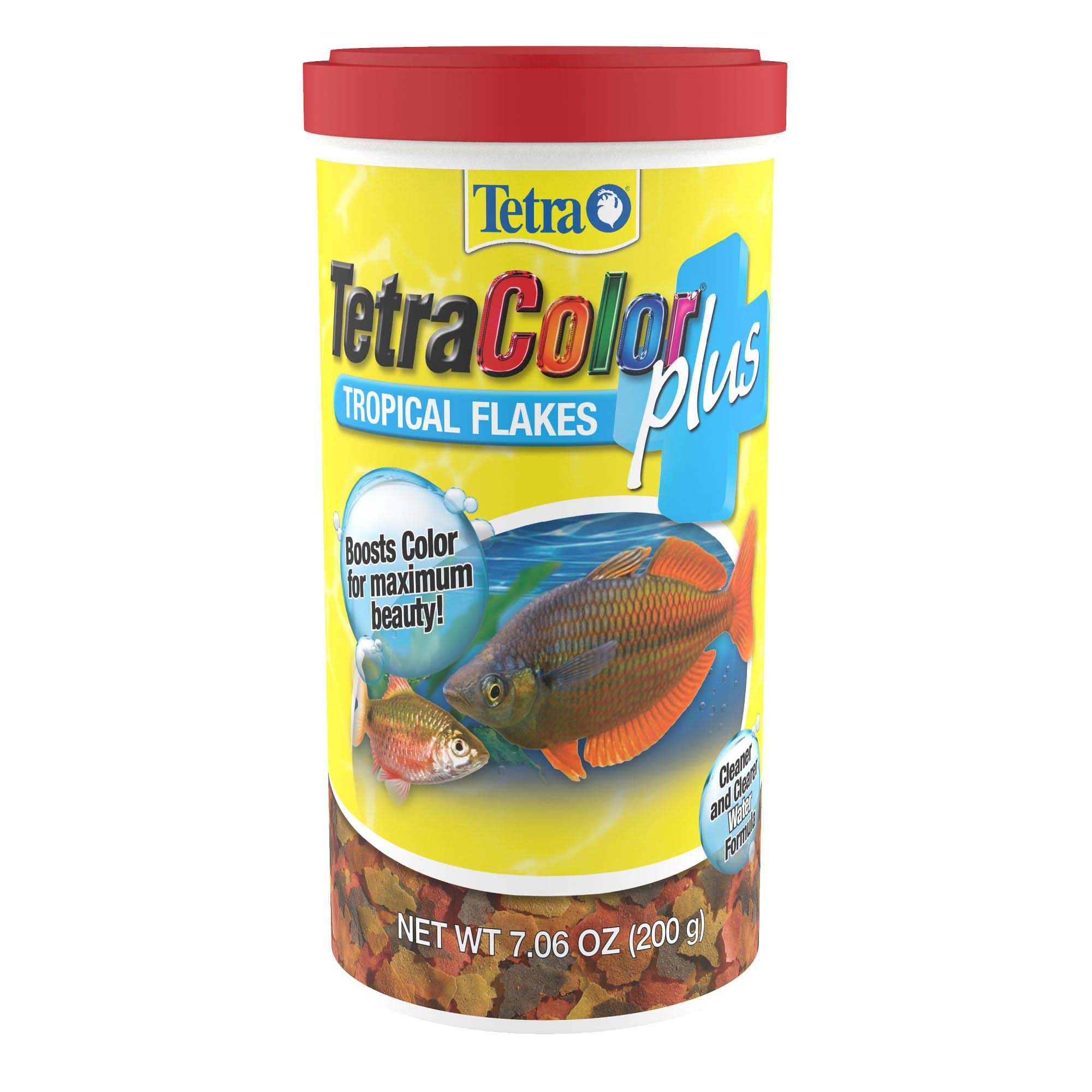 neon tetra price at petco