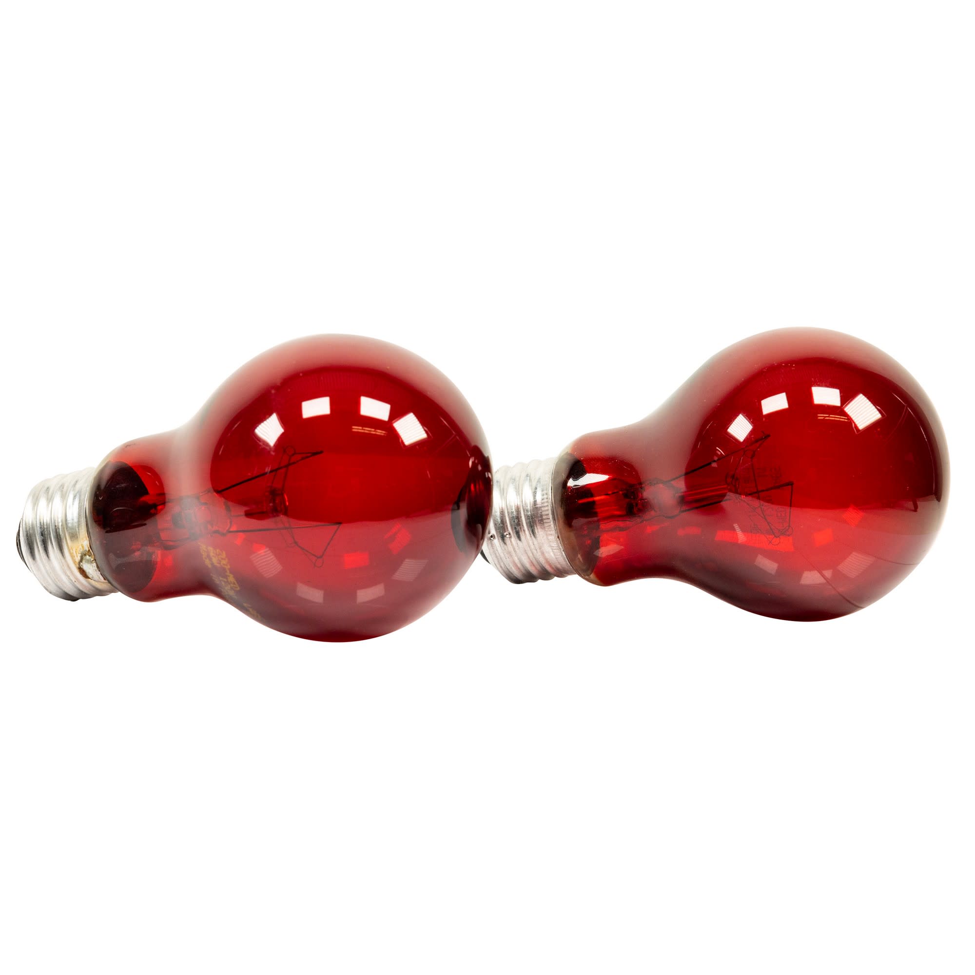 Luz roja nocturna emisora de calor para terrarios NIGHTLIGHT RED de ZOOMED  - Pets Planet