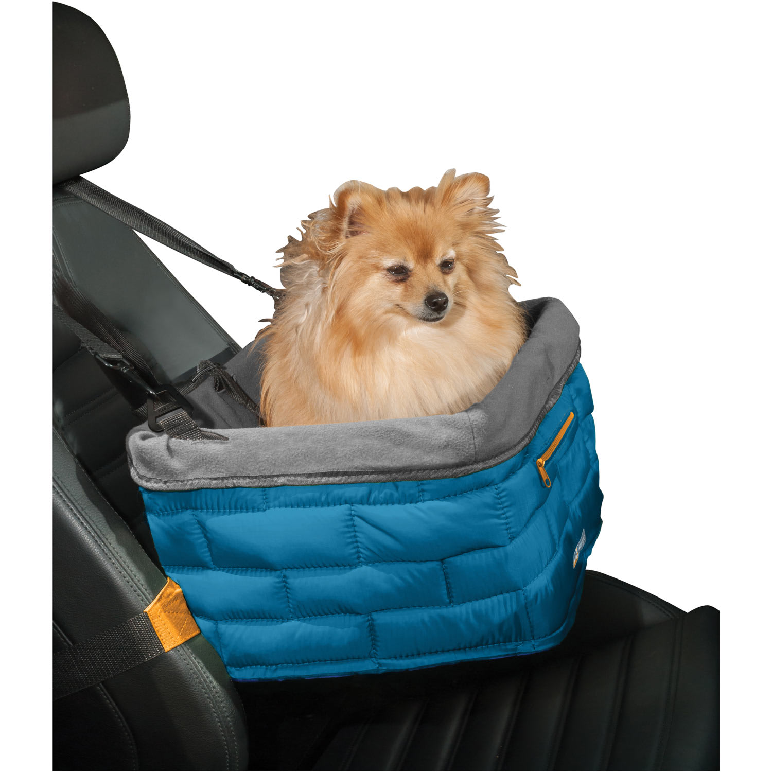 Petco dog clearance booster seat