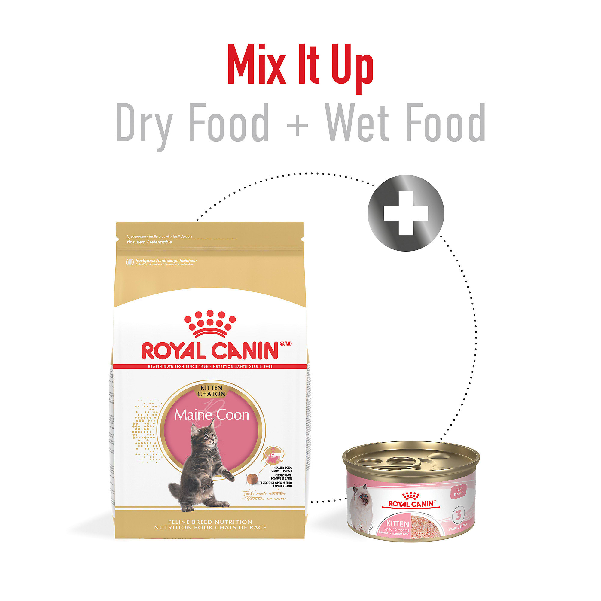 Royal Canin Feline Breed Nutrition Persian Kitten Dry Cat Food,