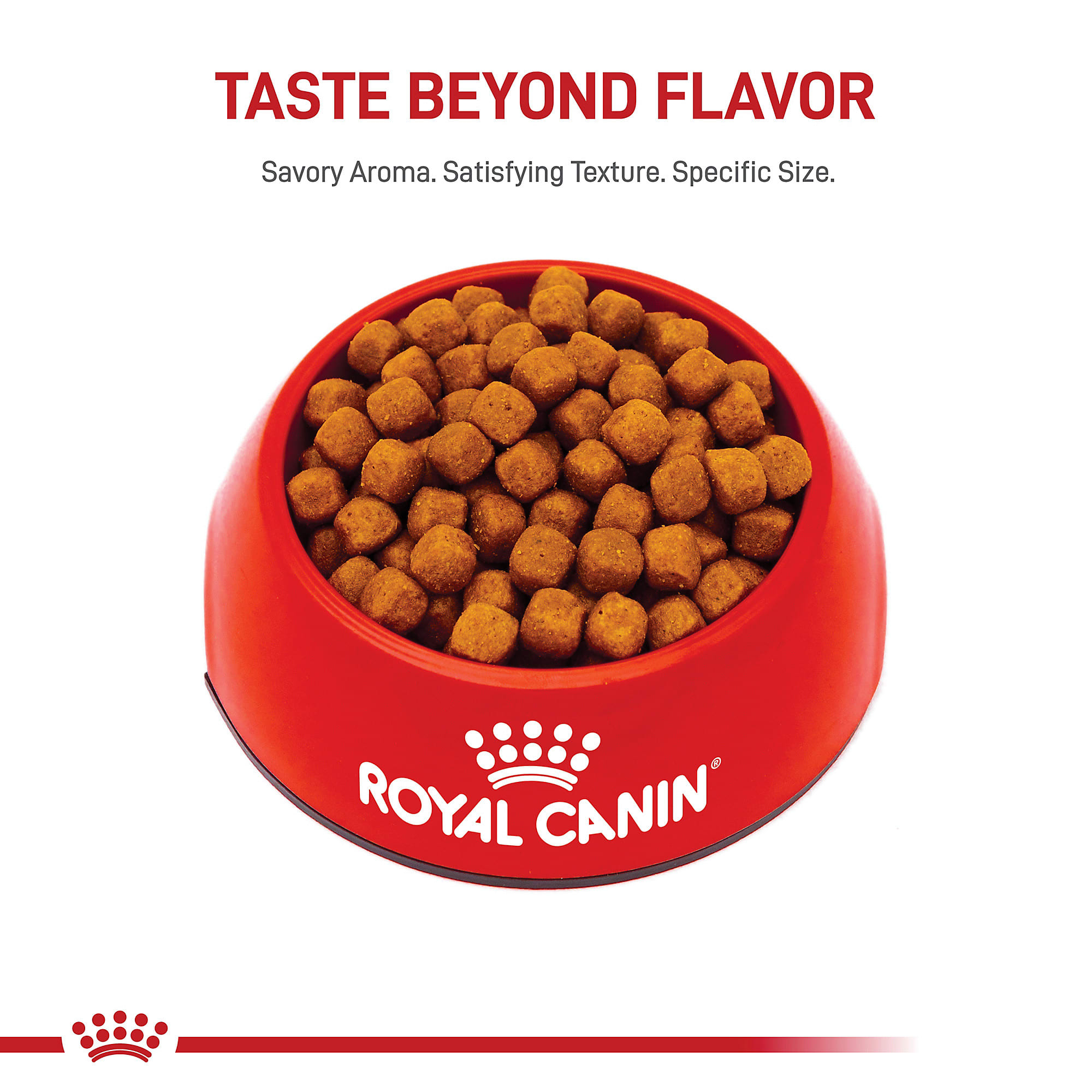 Royal Canin Feline Breed Nutrition Maine Coon Adult Dry Cat Food, 14 lbs. |  Petco