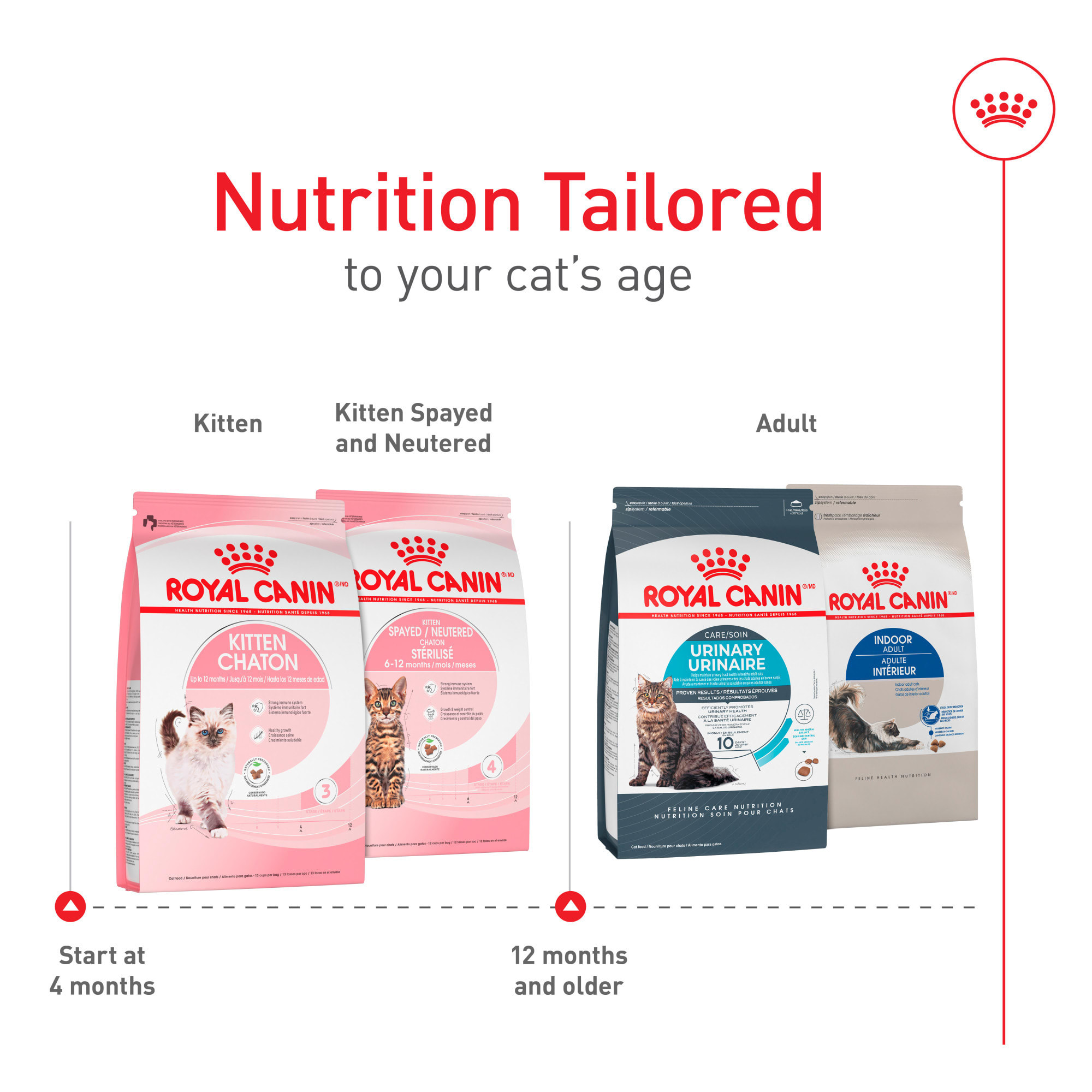 barking heads beef waggington wet dog food pouch Lamb Wet Pouches Bundle – Barking Heads & Meowing Heads – INSPIRED  Pawfessionals main image 1