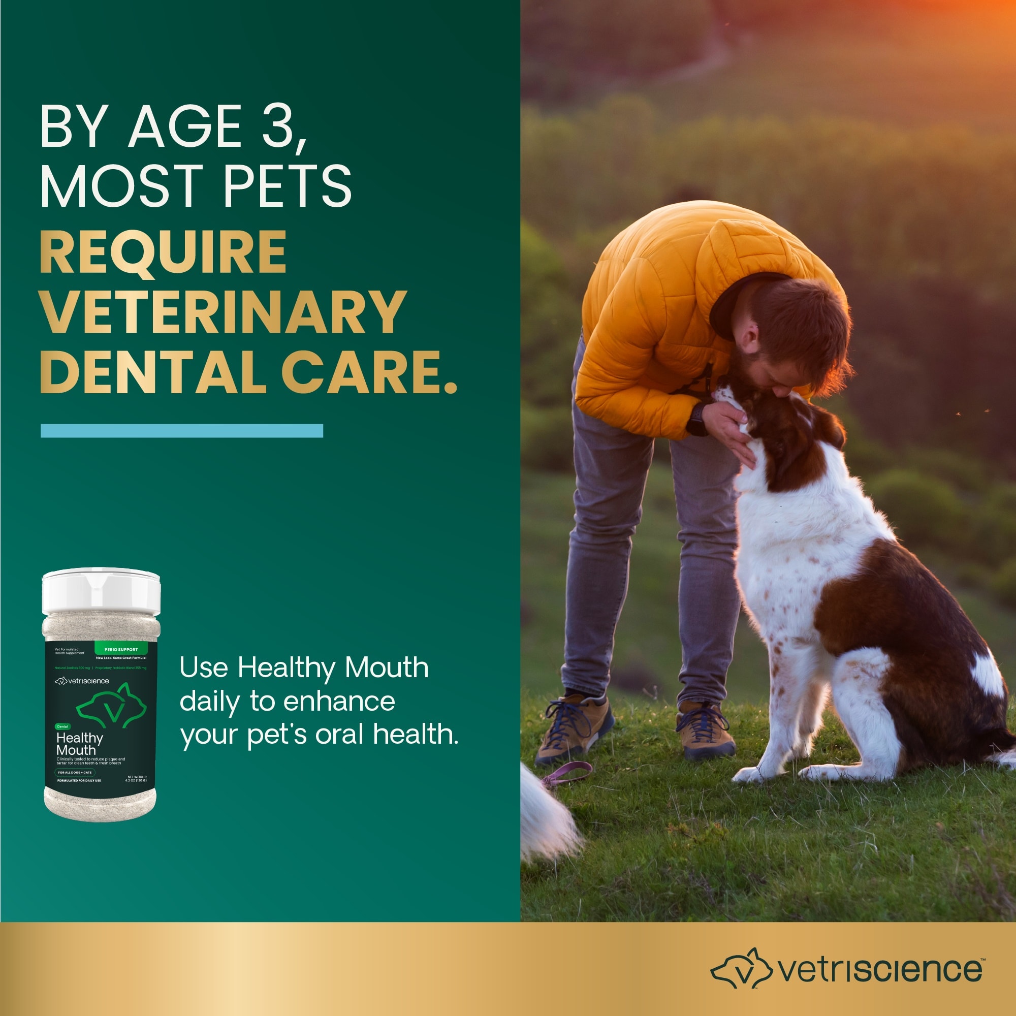 VetriScience Healthy Mouth Dental Health Formula 4.2 oz. Petco