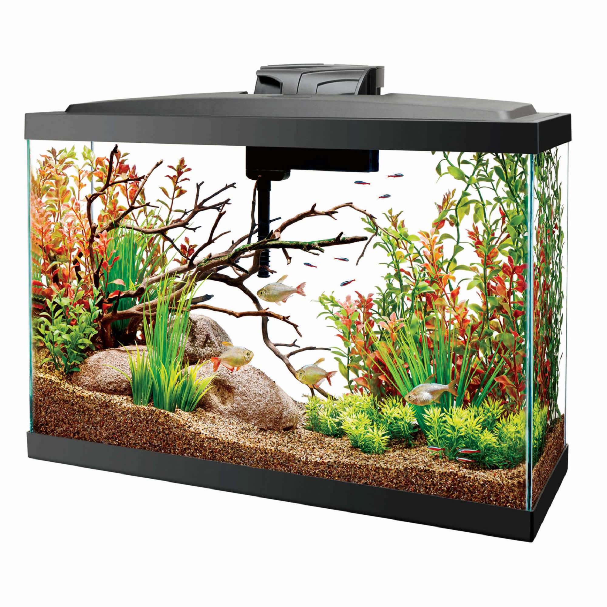 Aqua s отзывы. Аквариум Fish Tank. Аквариум (Fish Tank) 2009. Плоский аквариум. Ландшафт аквариума.