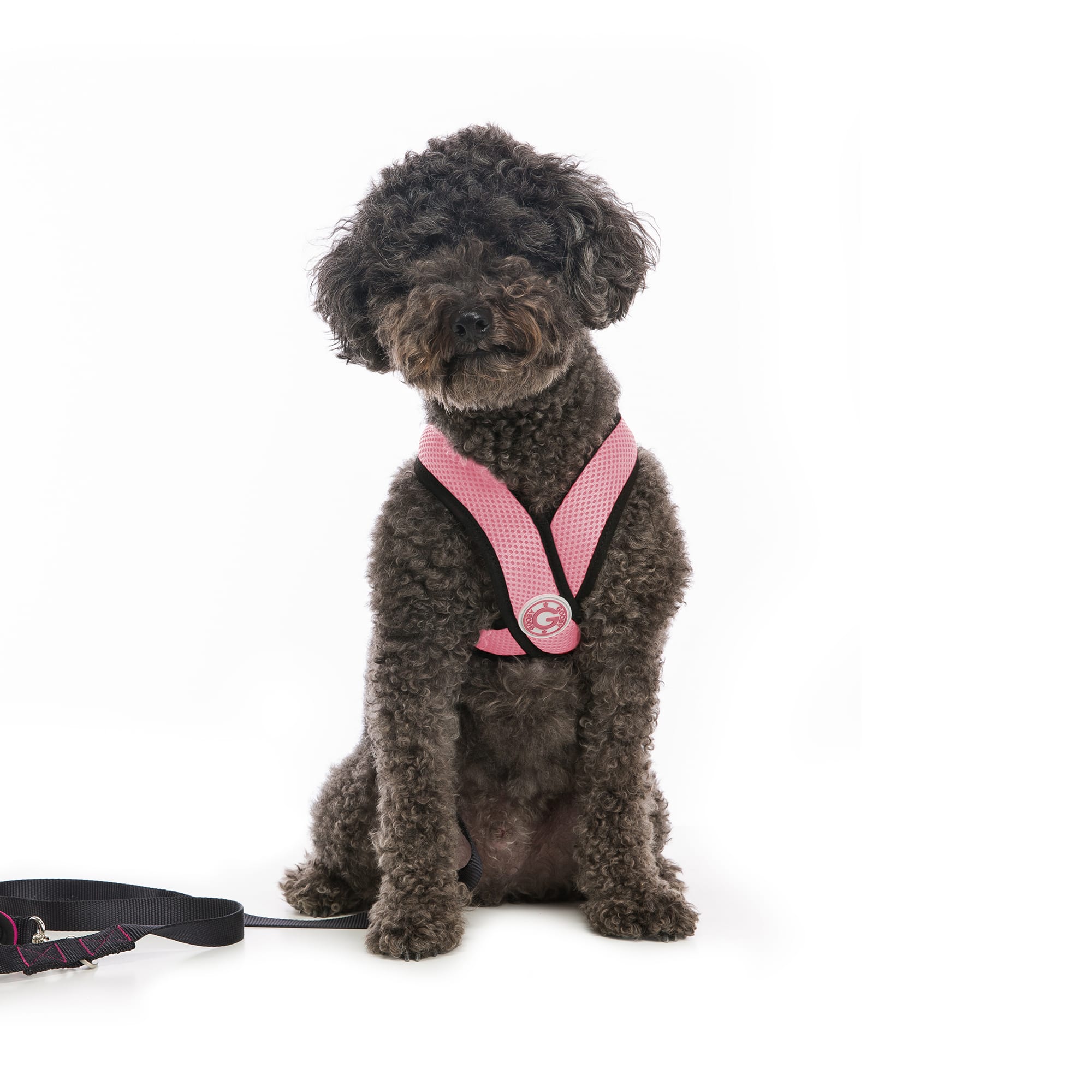 Choke Free Small Dog Harness with Synthetic Lambskin Soft Strap Gooby Active X Head-in Harness 