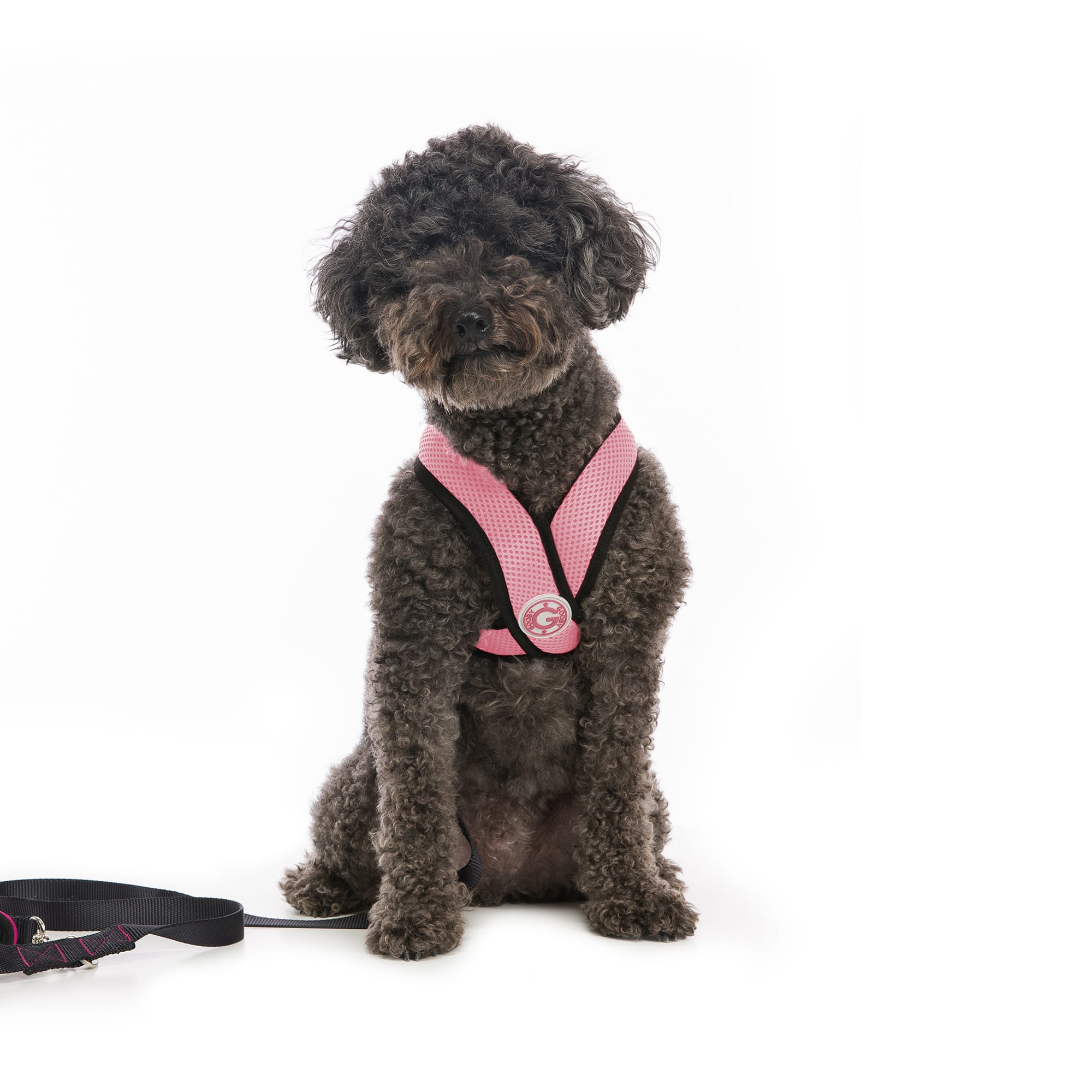 Dog harness for long clearance haired dogs