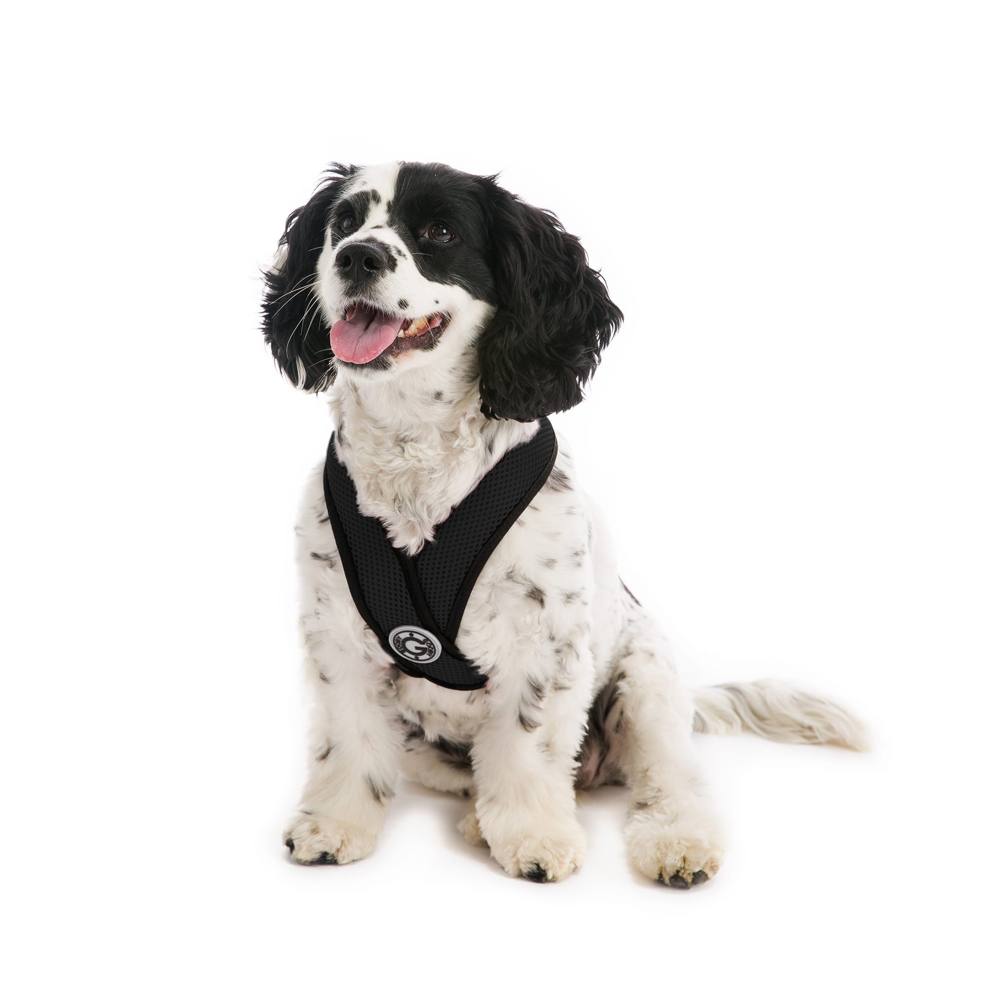 gooby choke free freedom harness