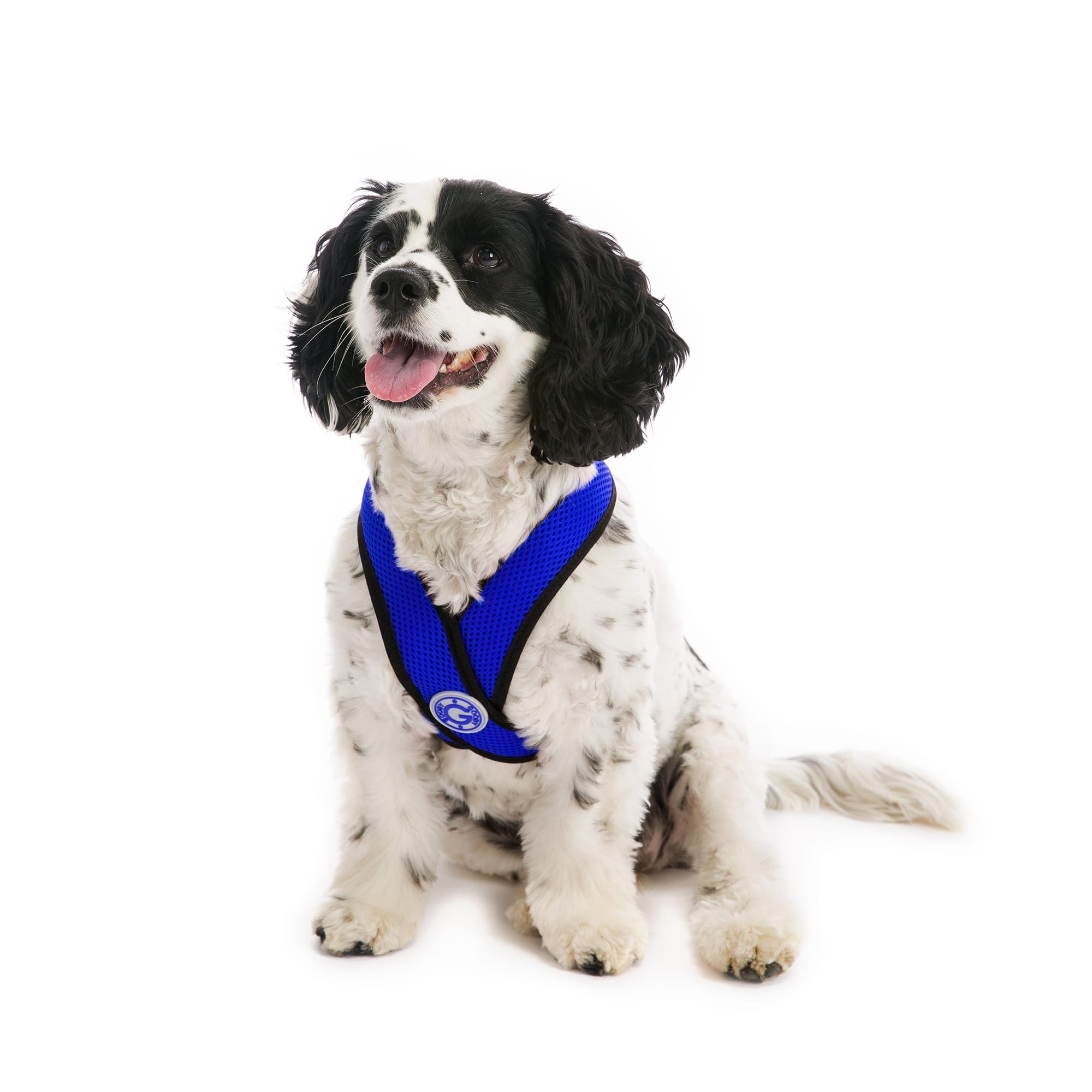 gooby choke free comfort x soft harness