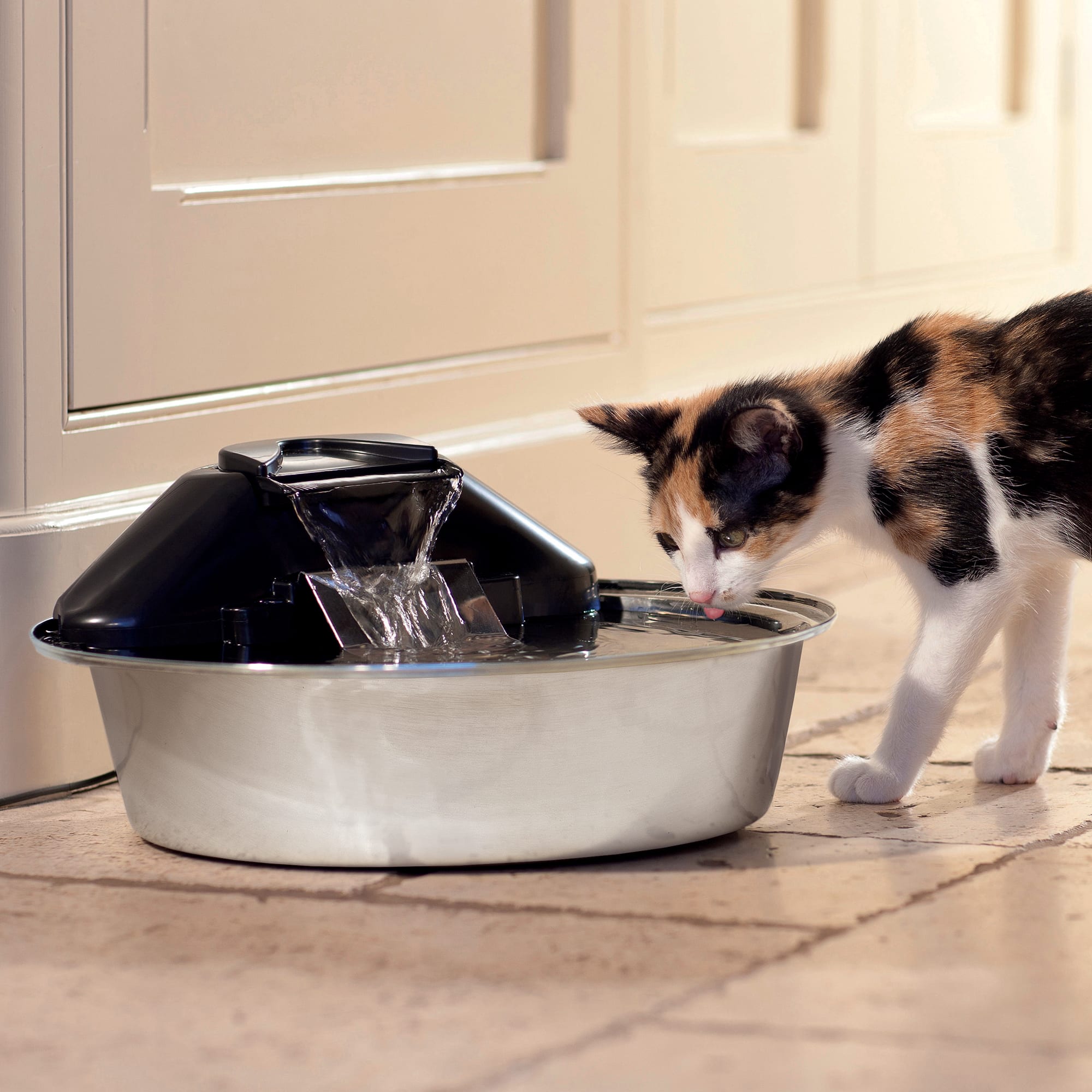 Petsafe drinkwell outlet zen steel fountain