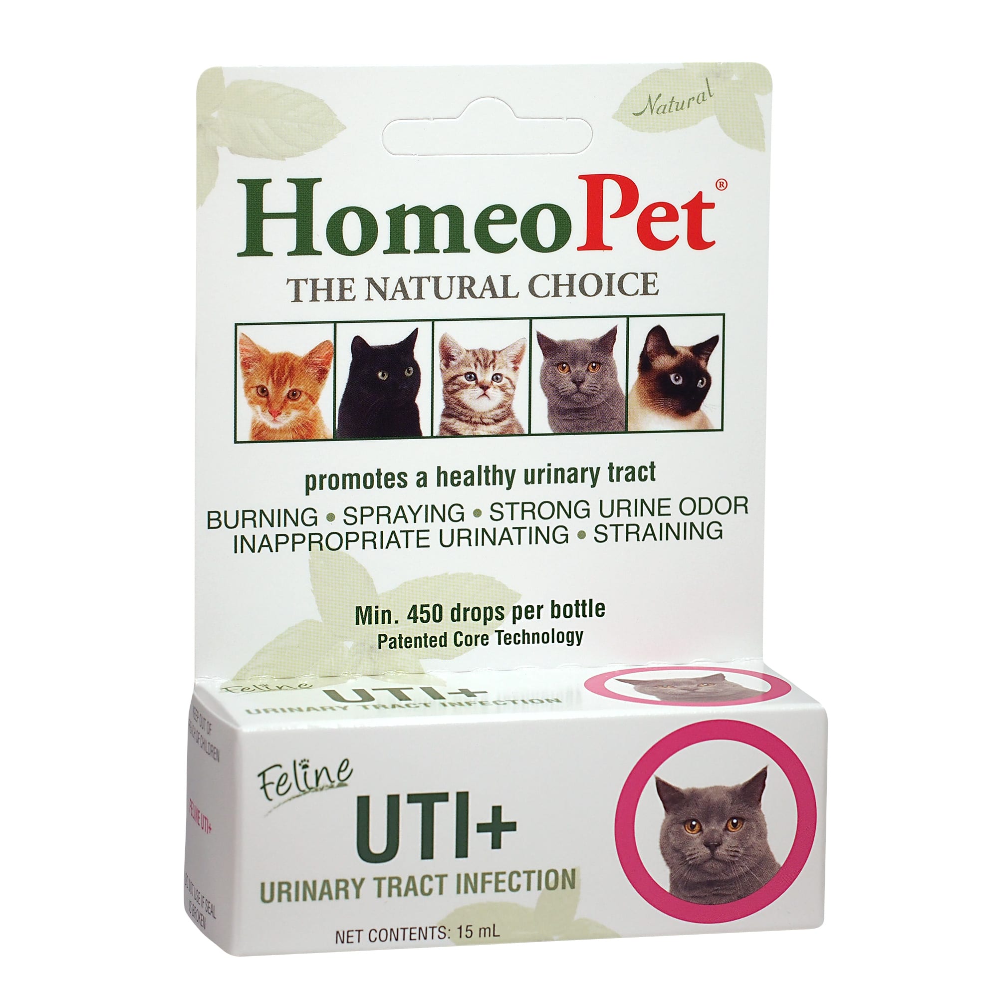 Male cat sales uti treatment