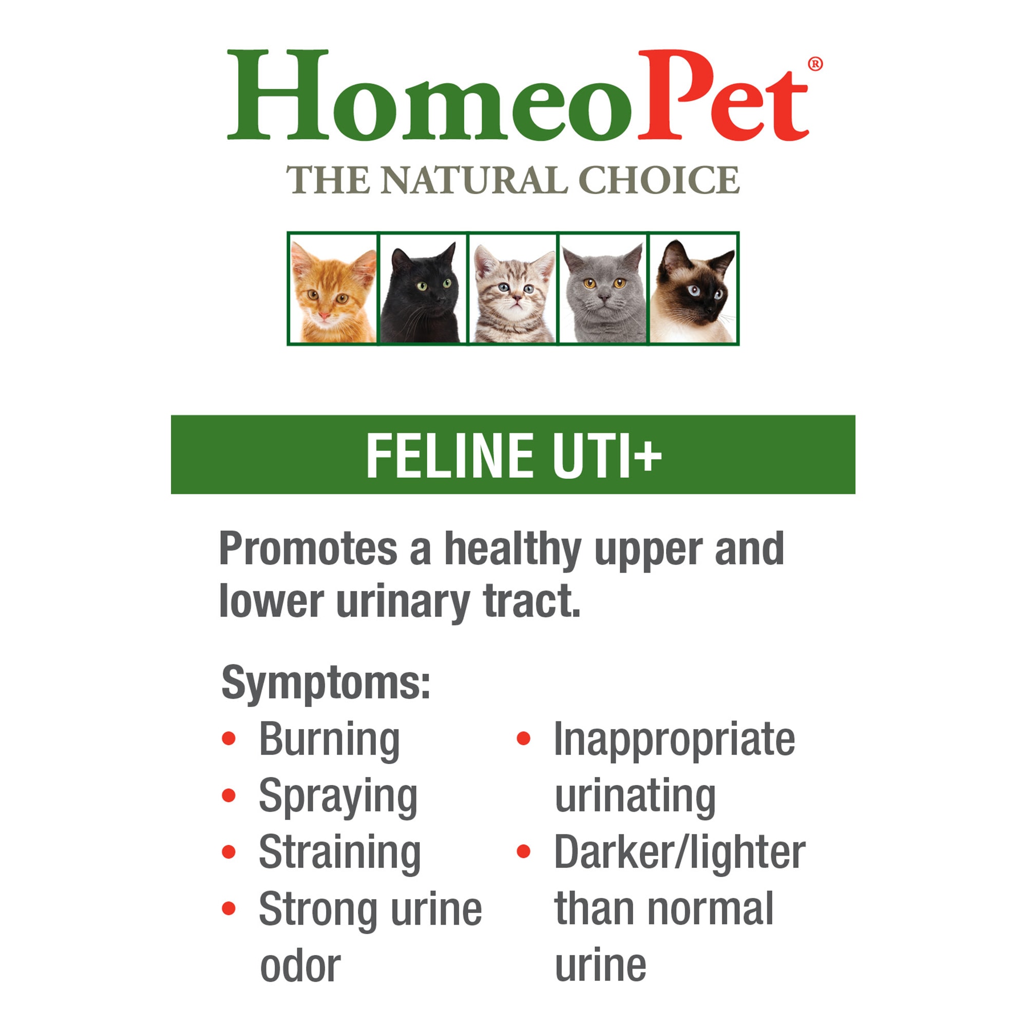 Homeopathic cat cheap uti treatments