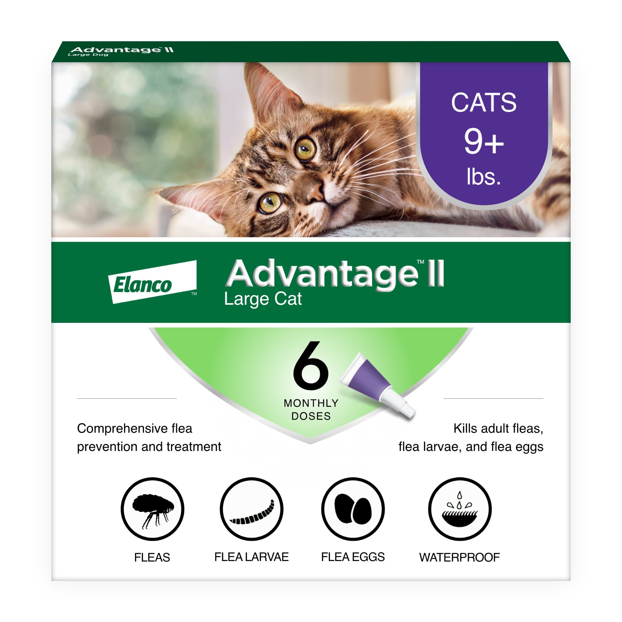 over 9 lbs. Advantage II Flea Treatment for Large Cats weighing over 4 kg Package may vary