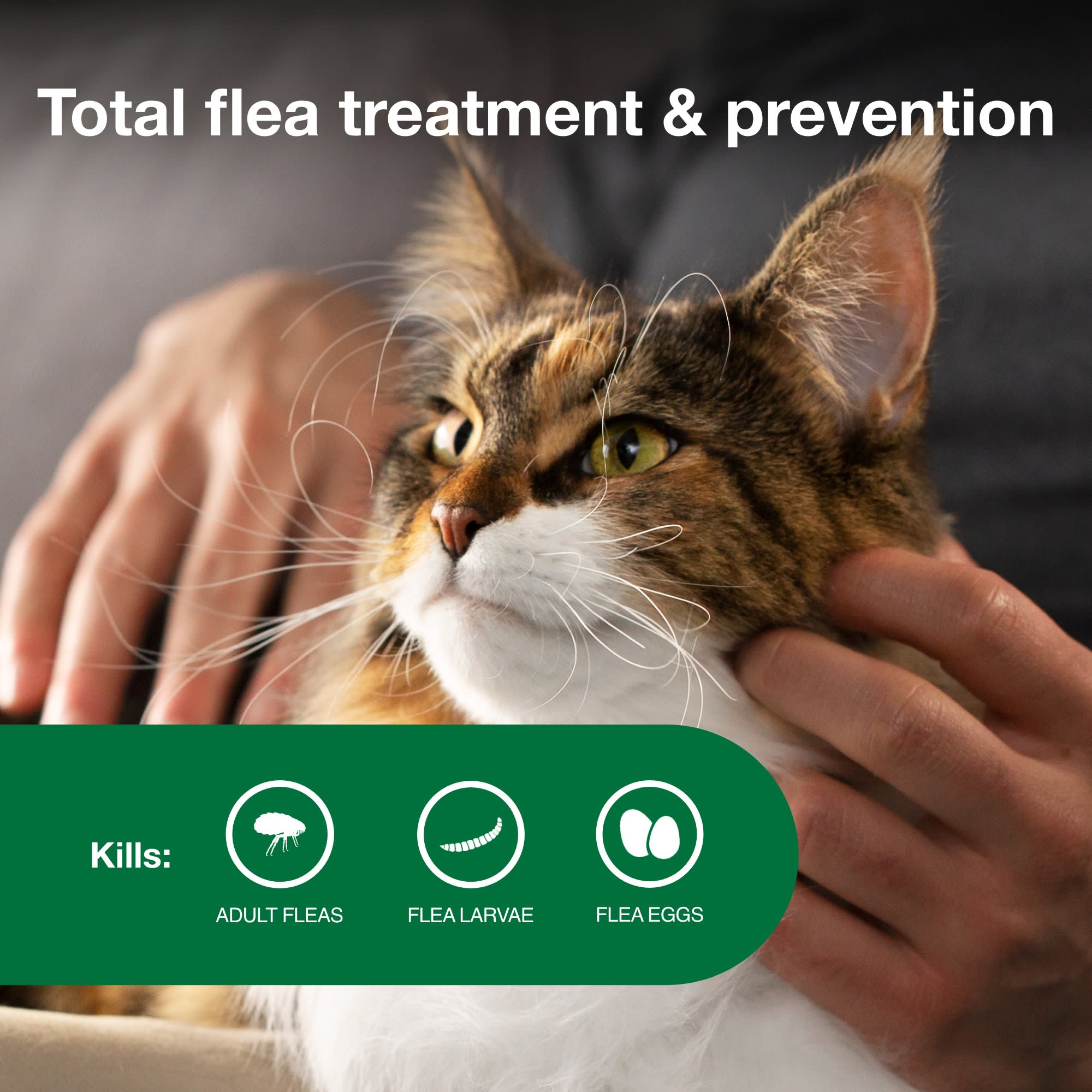 Petco cat 2024 flea medicine