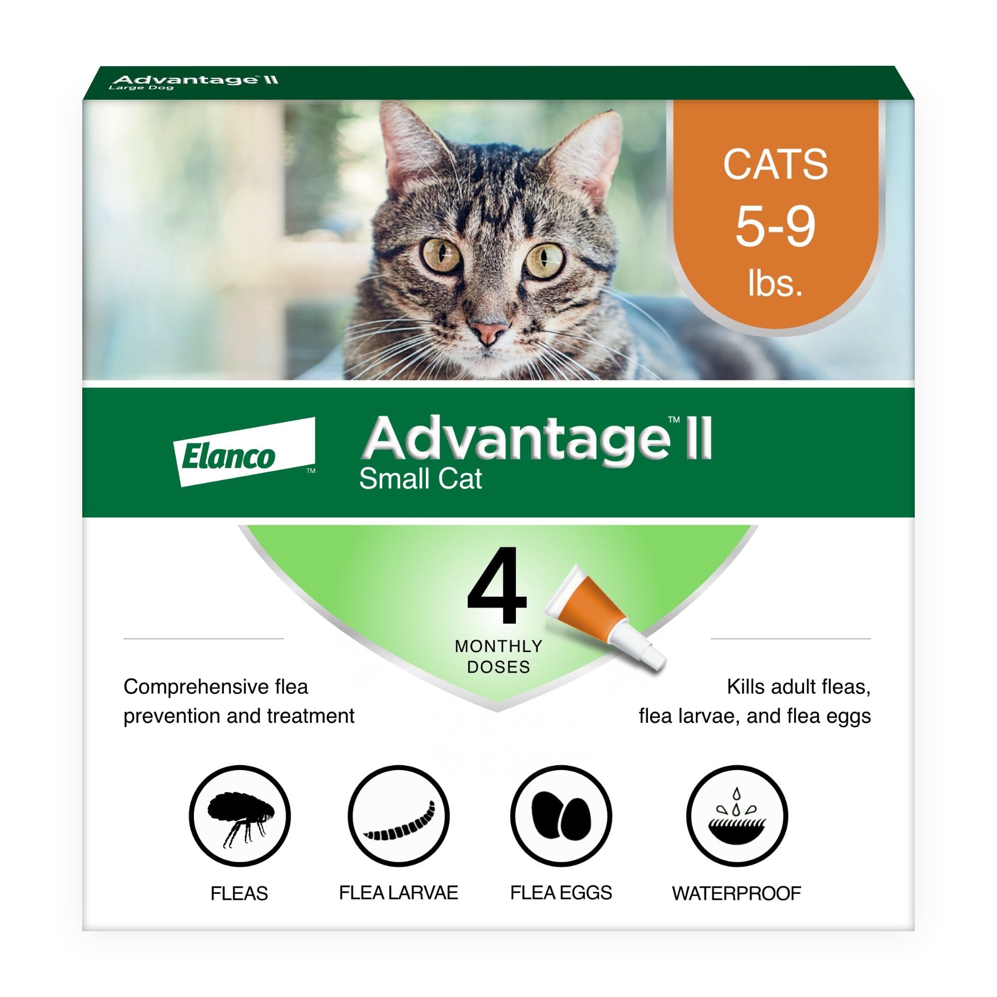 Advantage Ii Once A Month Cat Kitten Topical Flea Treatment 5 To 9 Lbs Pack Of 6 Petco