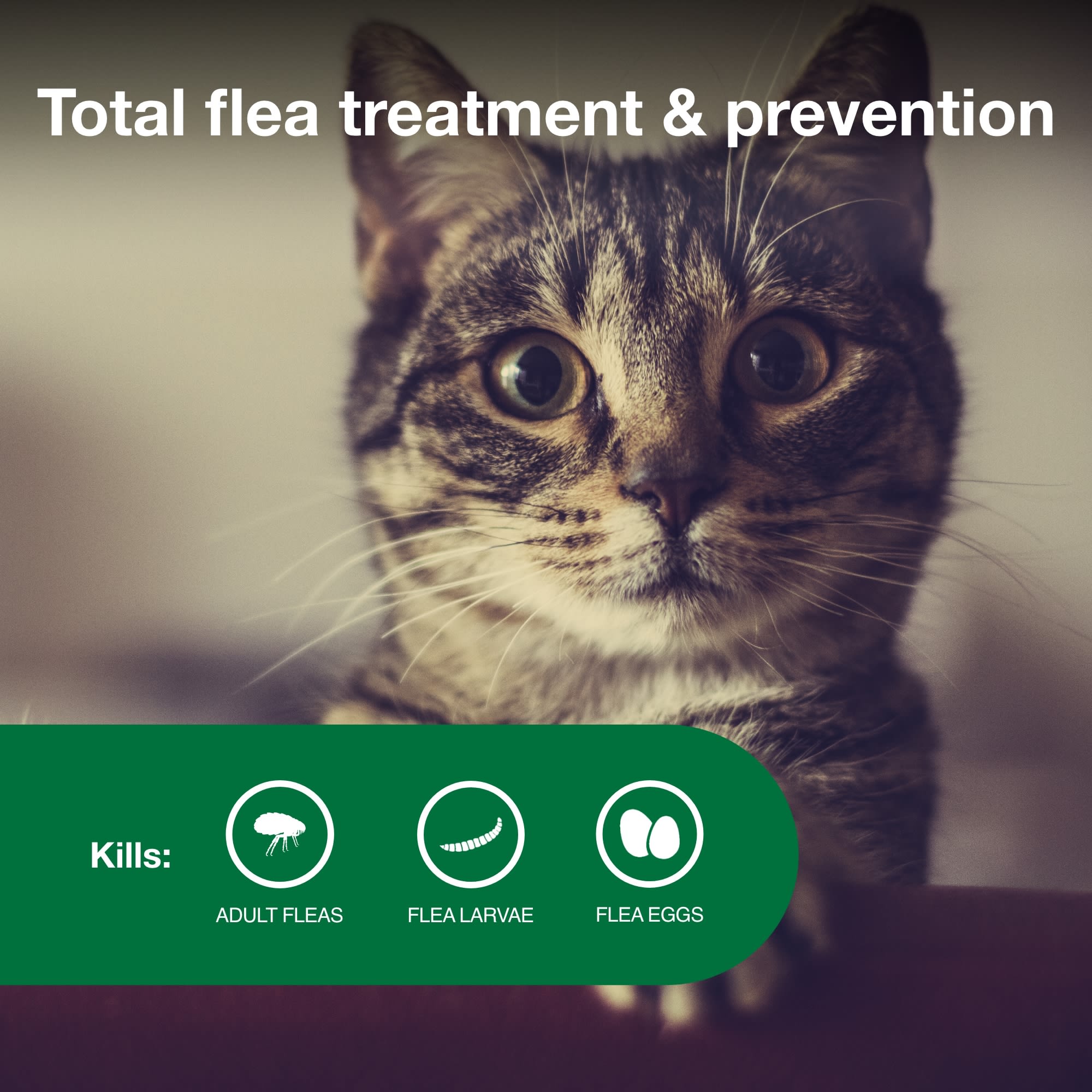 Advantage II Vet Recommended Flea Treatment Prevention for Small