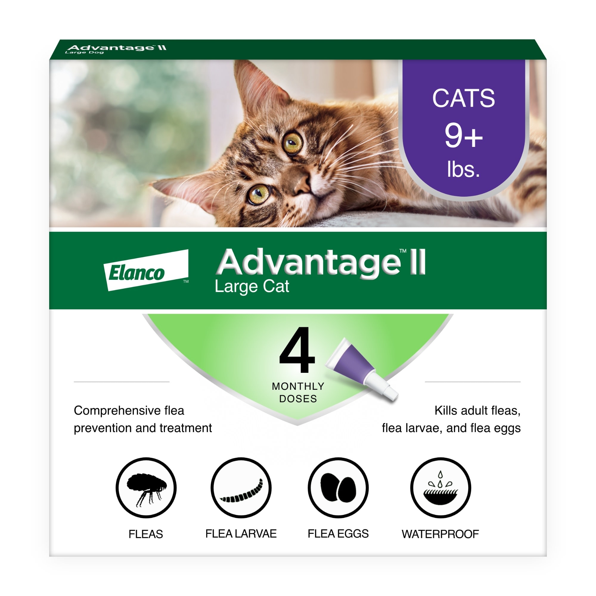 Advantage Ii Cat Kitten Flea Drops Monthly Petco