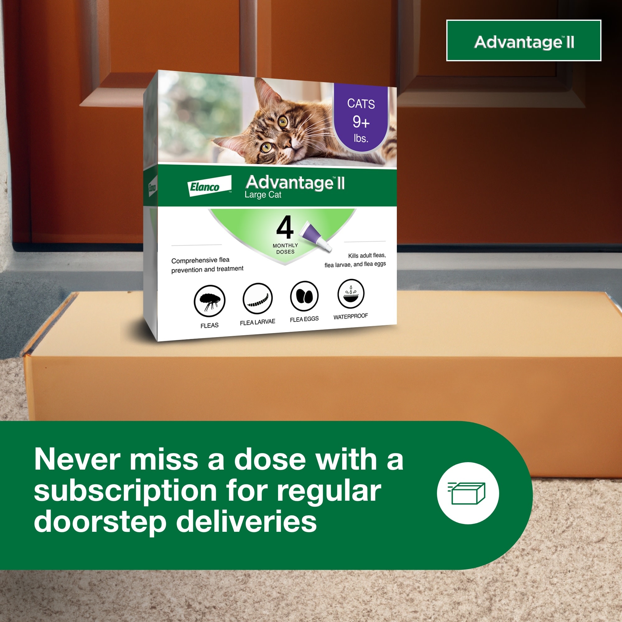 Advantage ii store for cats coupons