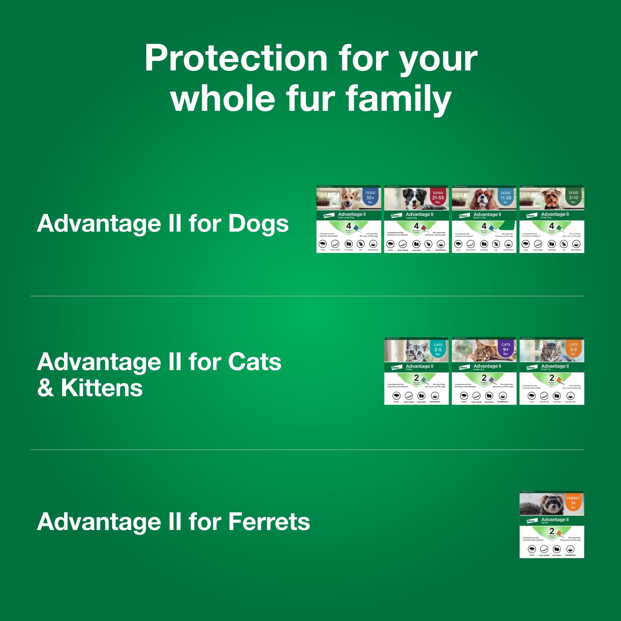 Advantage II Vet Recommended Flea Treatment Prevention for Large Dogs Count of 4