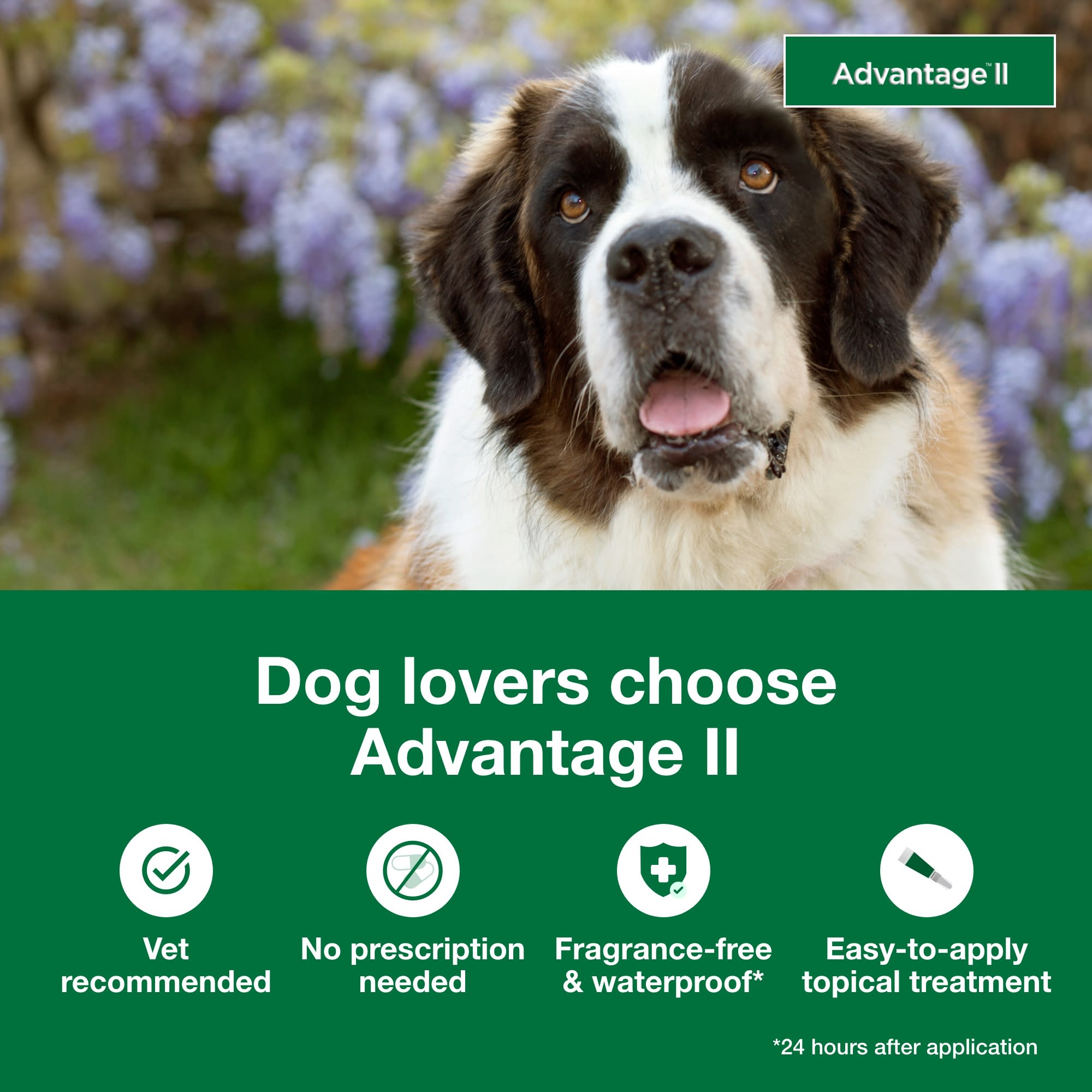 Advantage Vet Recommended Flea Treatment Prevention for X Large Dogs Count of 4