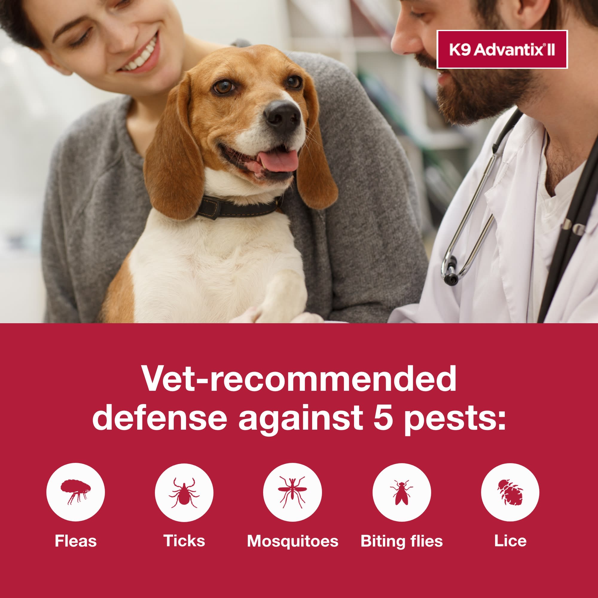 Petco k9 clearance advantix