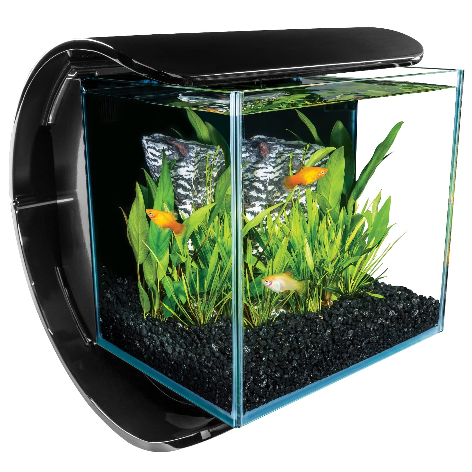 petco 3 gallon tank