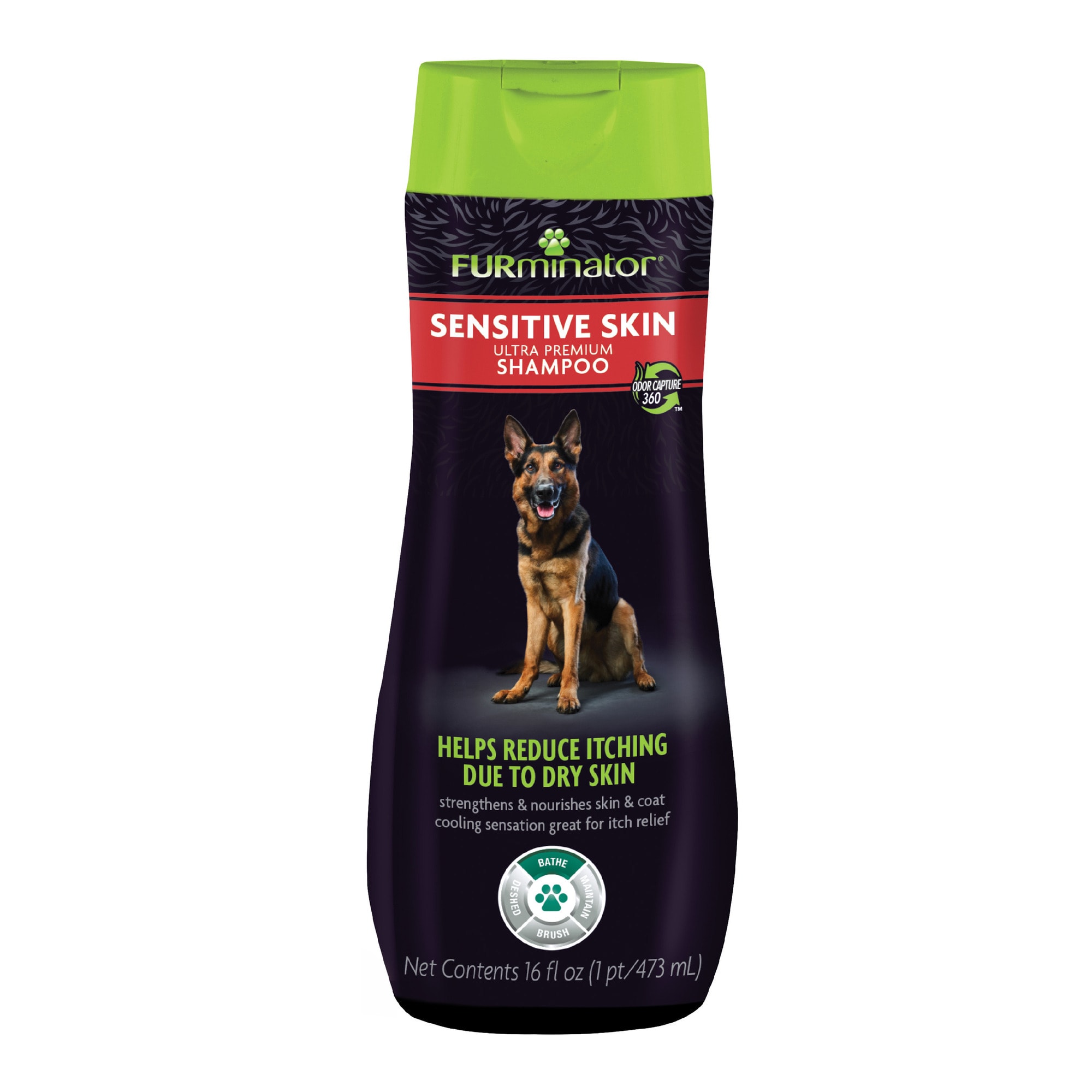 Shampoo to help outlet my dog stop itching