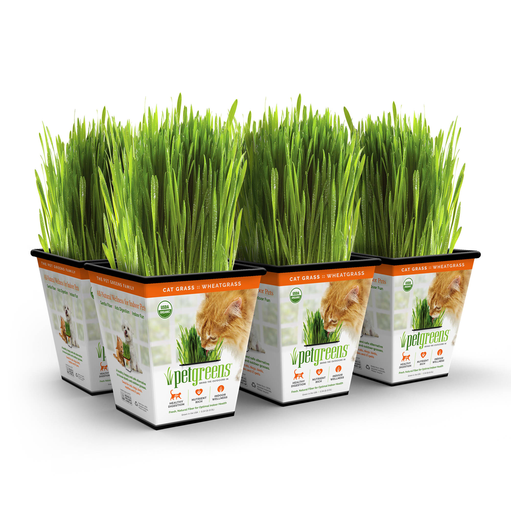 Pet grass shop