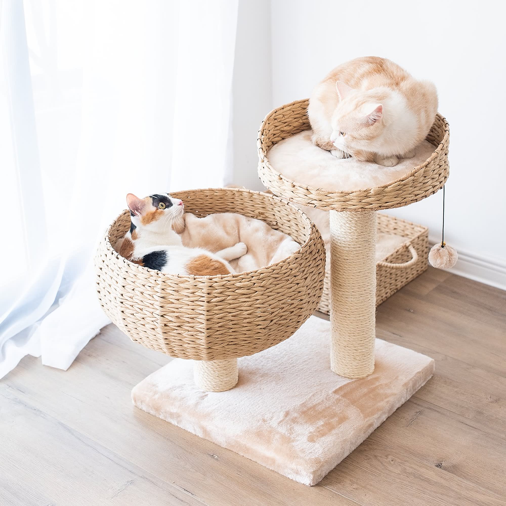 Wicker sale cat furniture