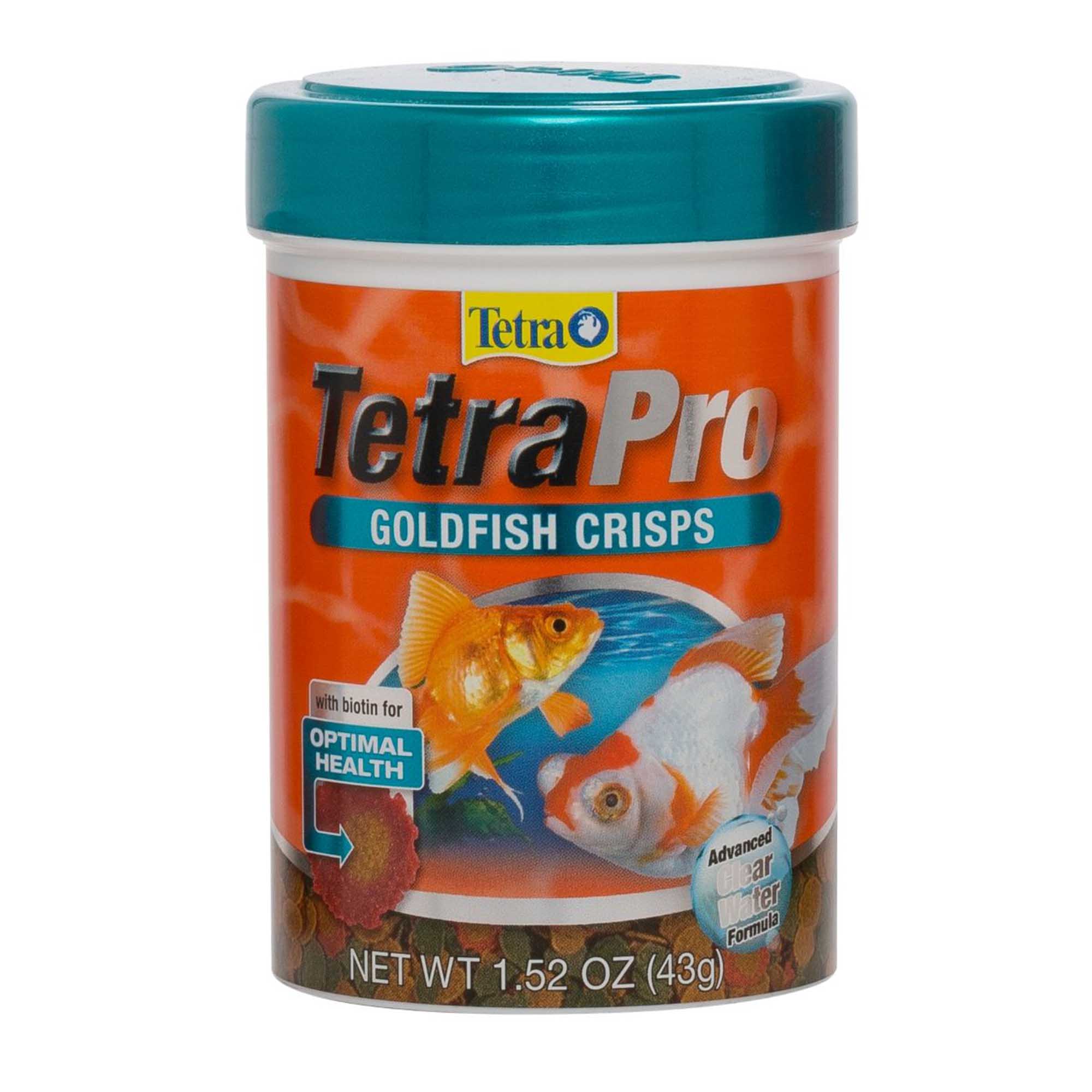 comet goldfish petco