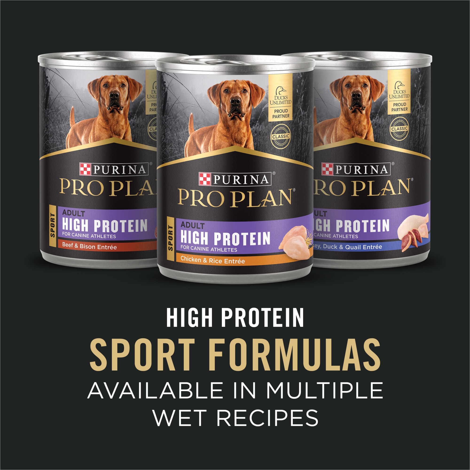 Purina Pro Plan High Energy, High Protein, SPORT 30/20 Salmon & Rice  Formula Dry Dog Food, 33 lbs. | Petco