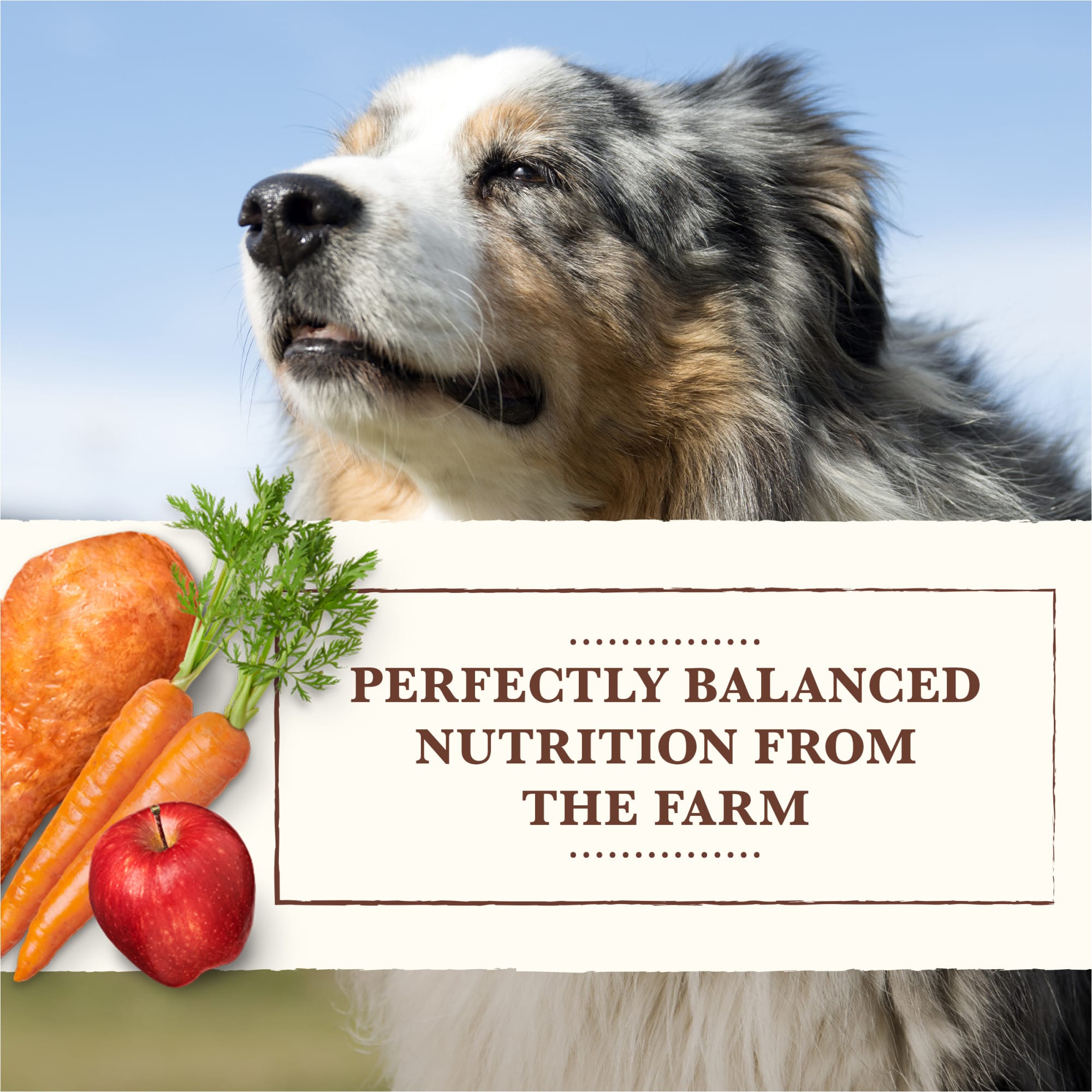 Whole earth farms shop dog food coupon