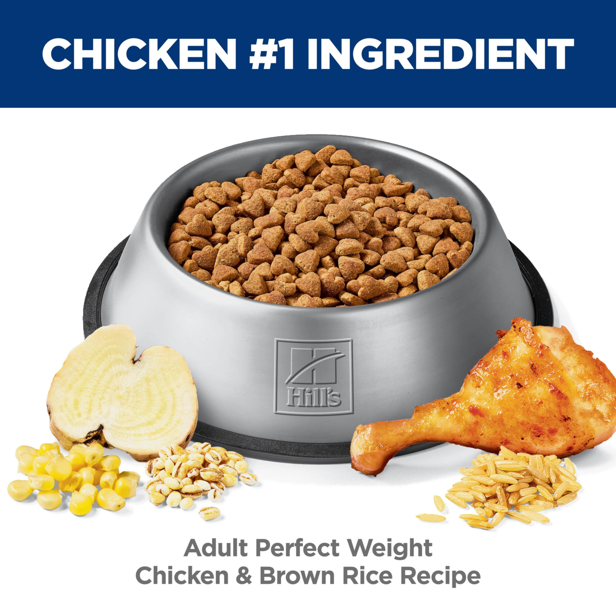 automatic wet food feeder for cats UBPet Smart Pet Feeder F21 main image 0