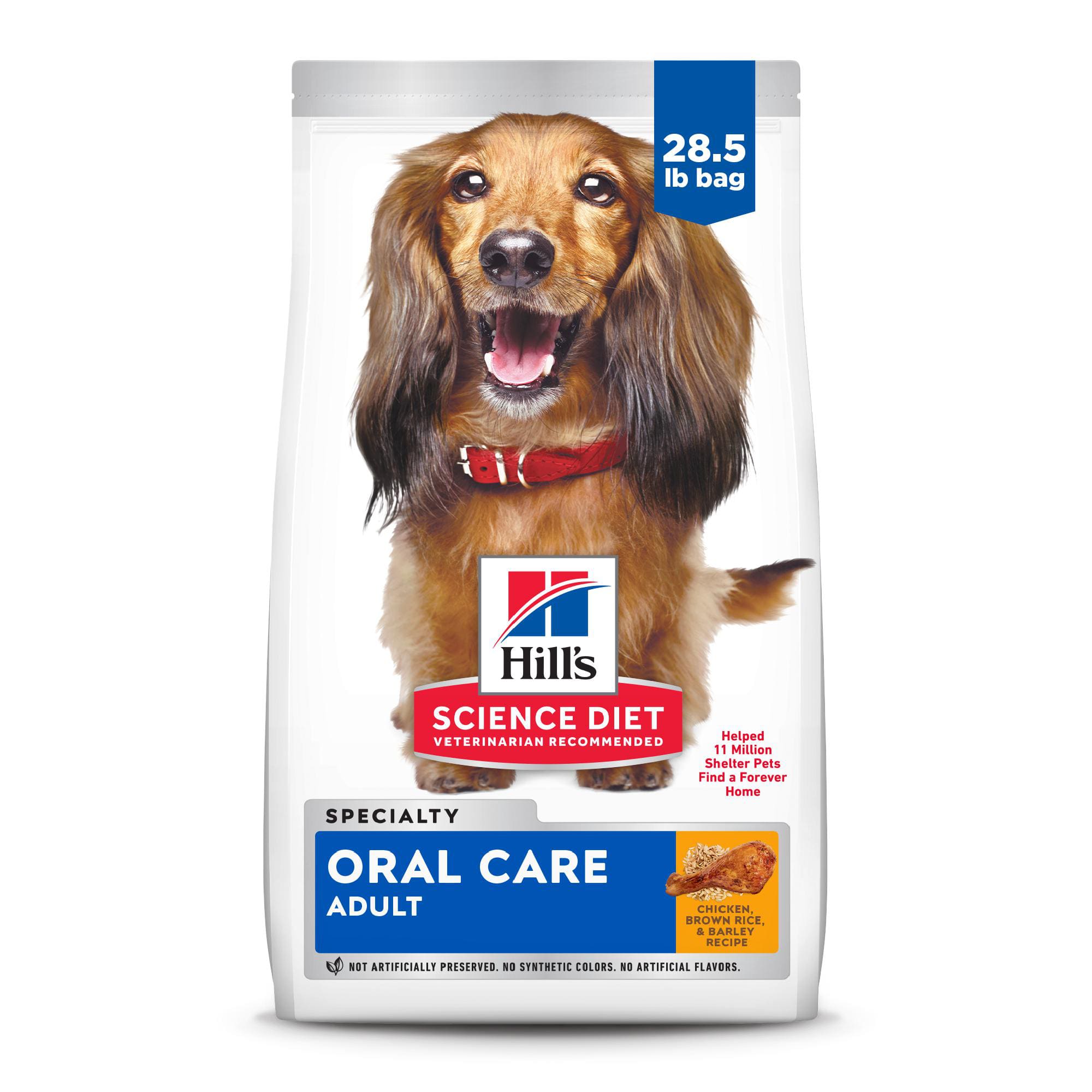 Soft Dry Dog Food For Dogs With Bad Teeth Petco