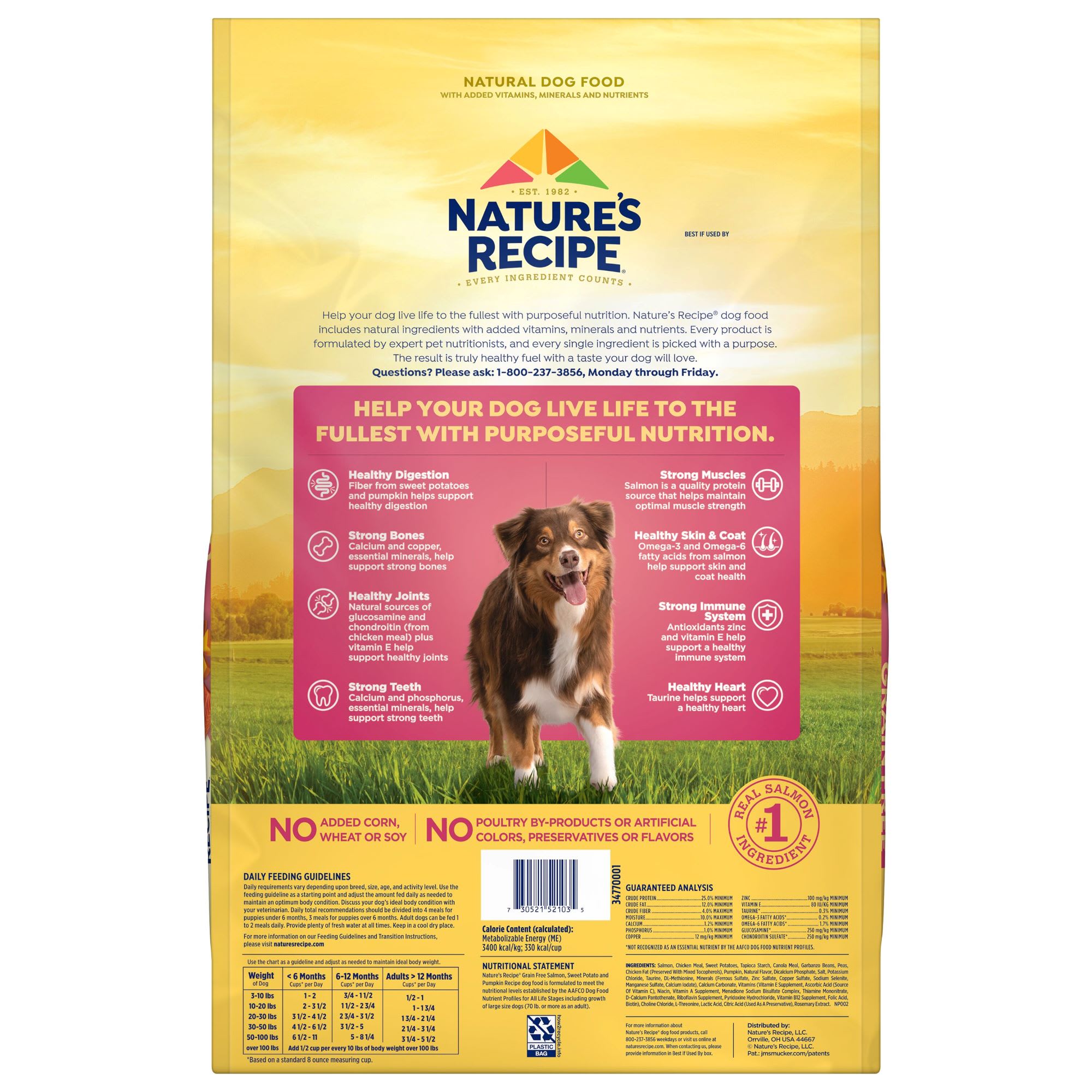 Petco nature's recipe grain free hotsell