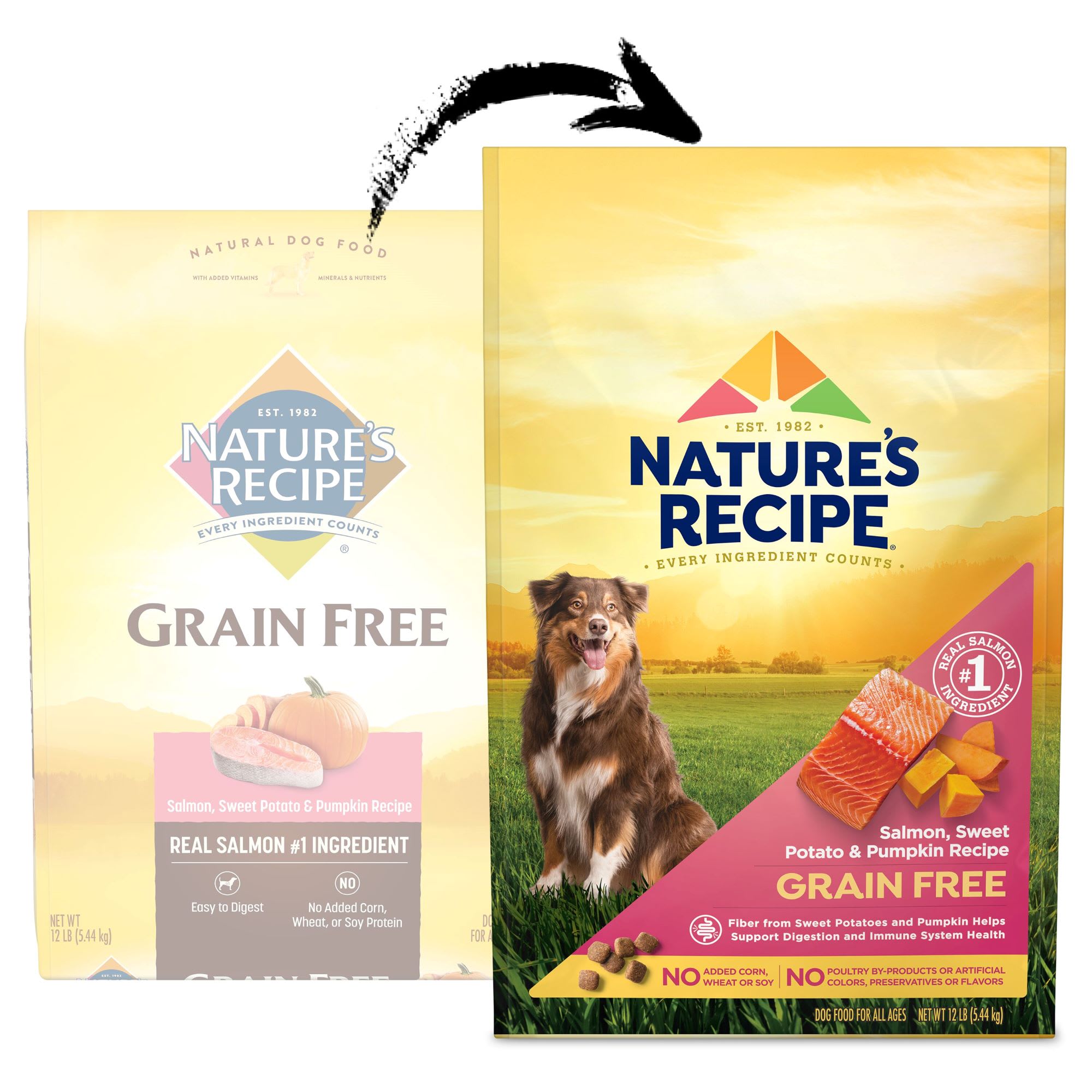 Nature s Recipe Grain Free Salmon Sweet Potato Pumpkin Dry Dog