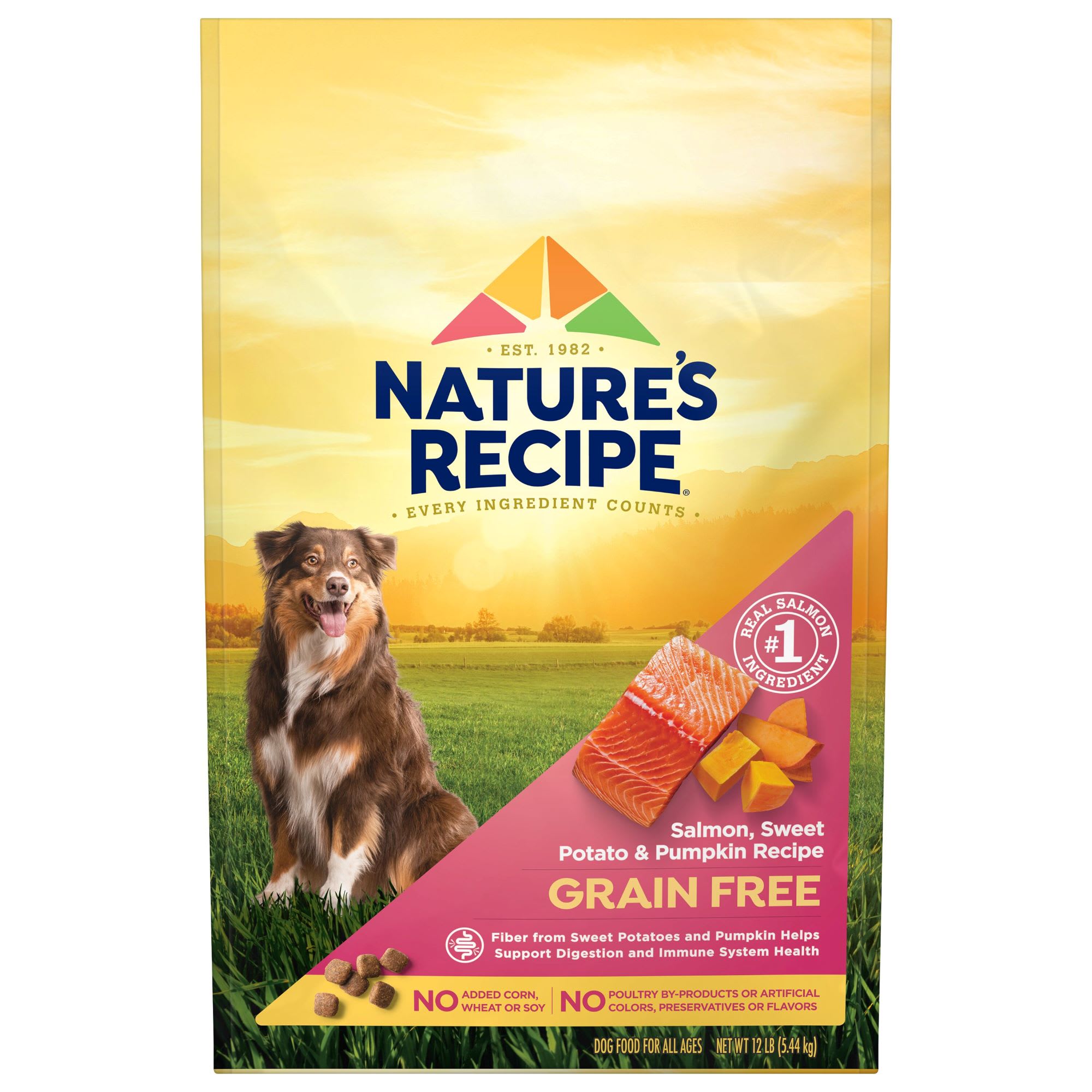 Nature's Recipe Grain-Free Salmon, Sweet Potato & Pumpkin Dry Dog Food |  Petco
