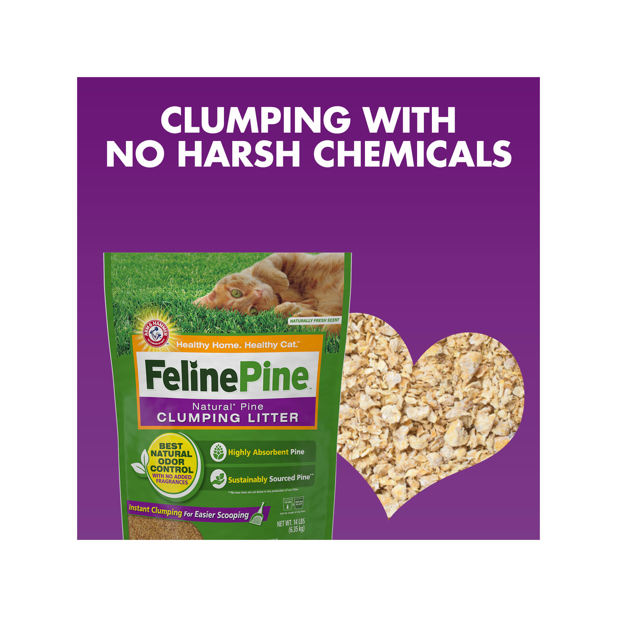 Arm and hammer feline pine best sale